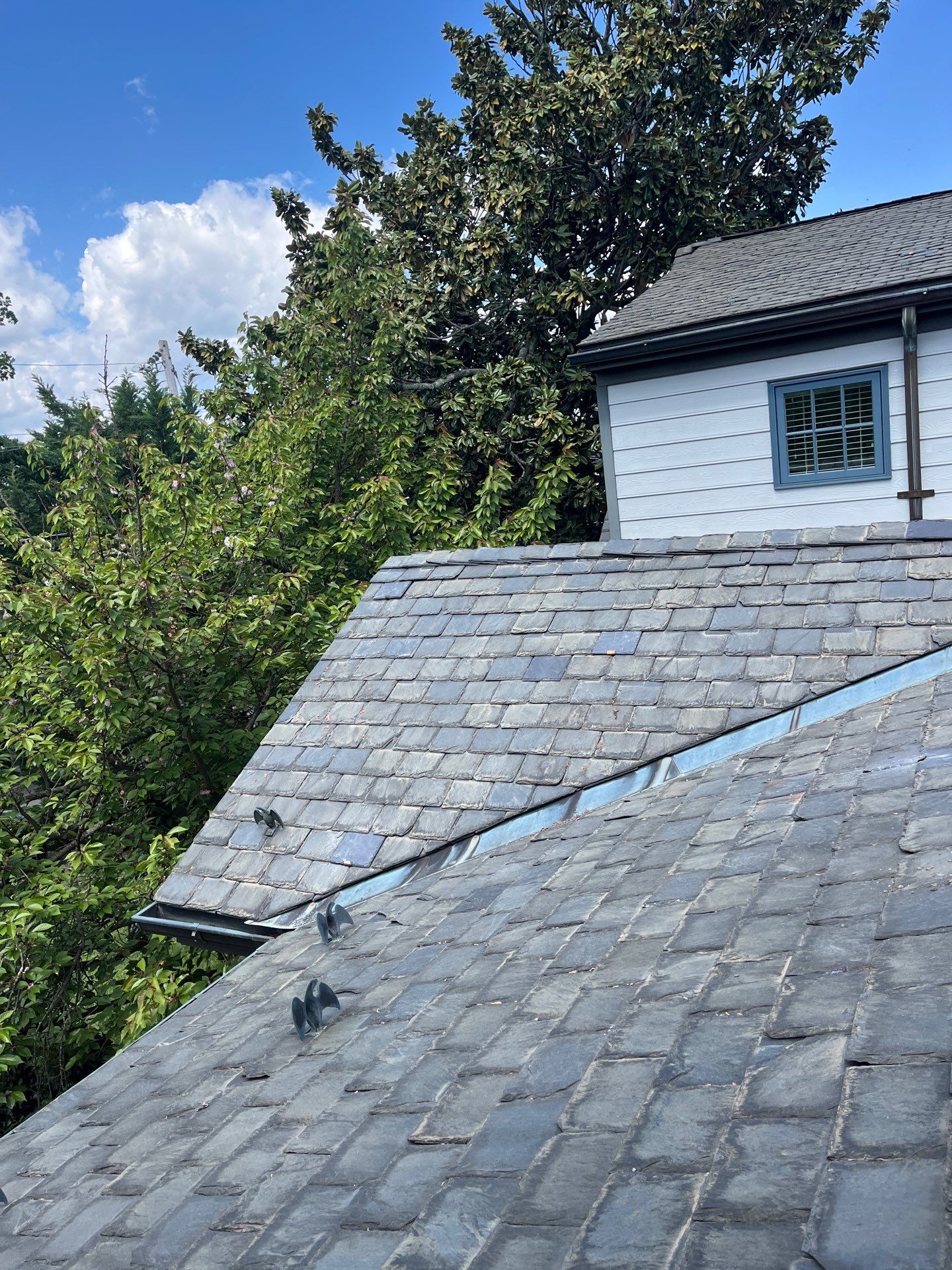 Arlington: Buckingham Slate and Carlisle Syntec TPO Roof by RM Banning, Inc.