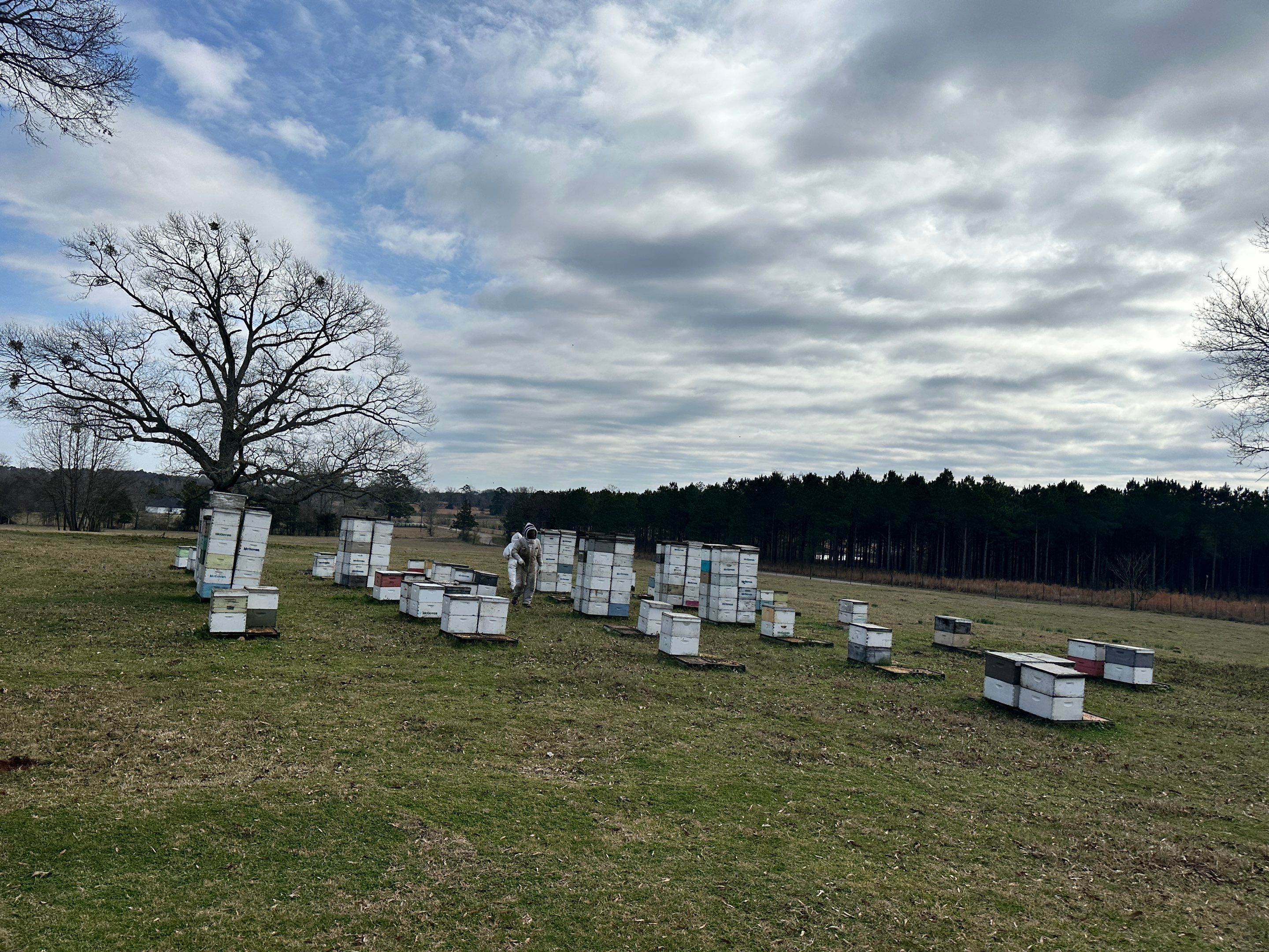 Peanut Farm Apiary by Rockwall Honey Bee Company