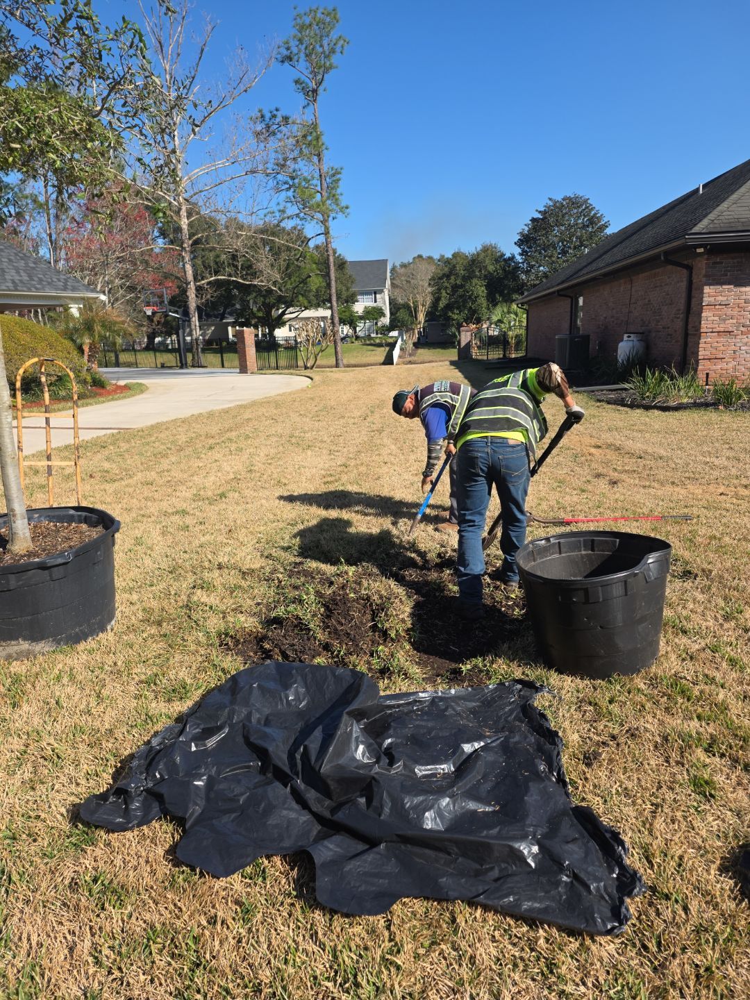 Deerwood Resident | Tree Service by ProGreen Services