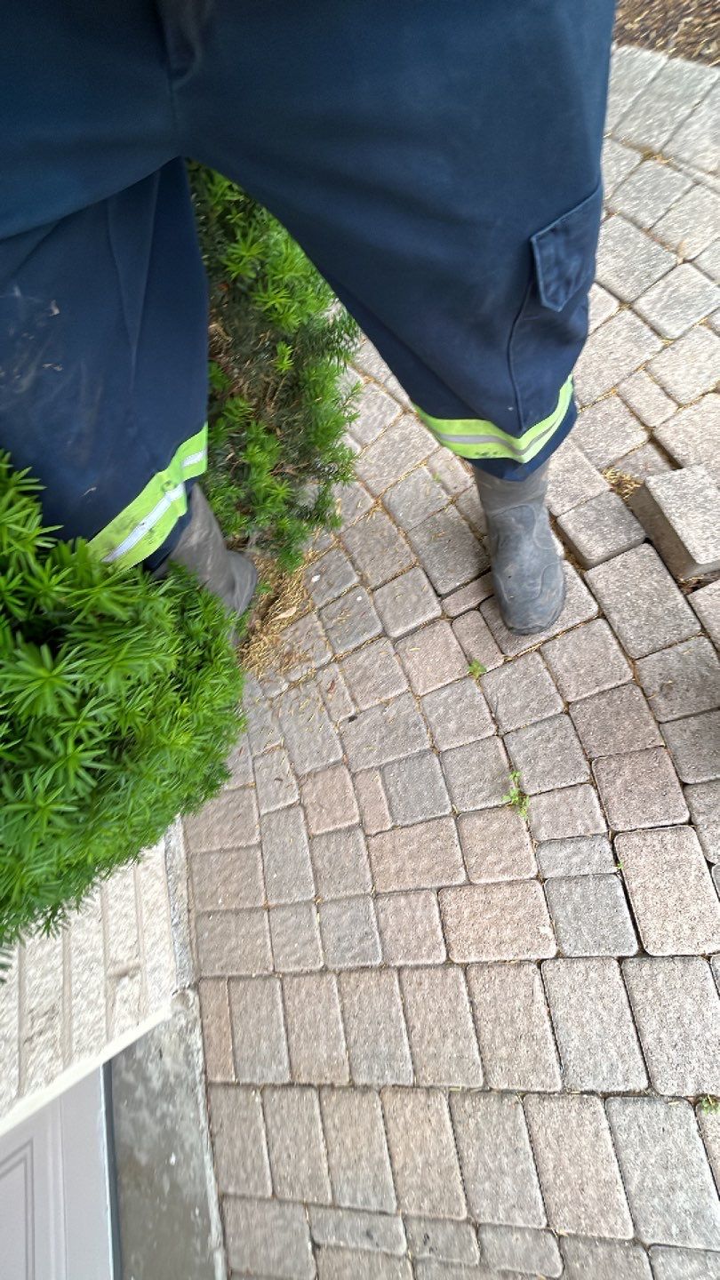 Northbrook, IL repair, clean, sand, seal by Northern Power Washing LLC.
