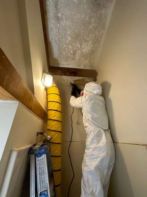 Bathroom Mold Remediation