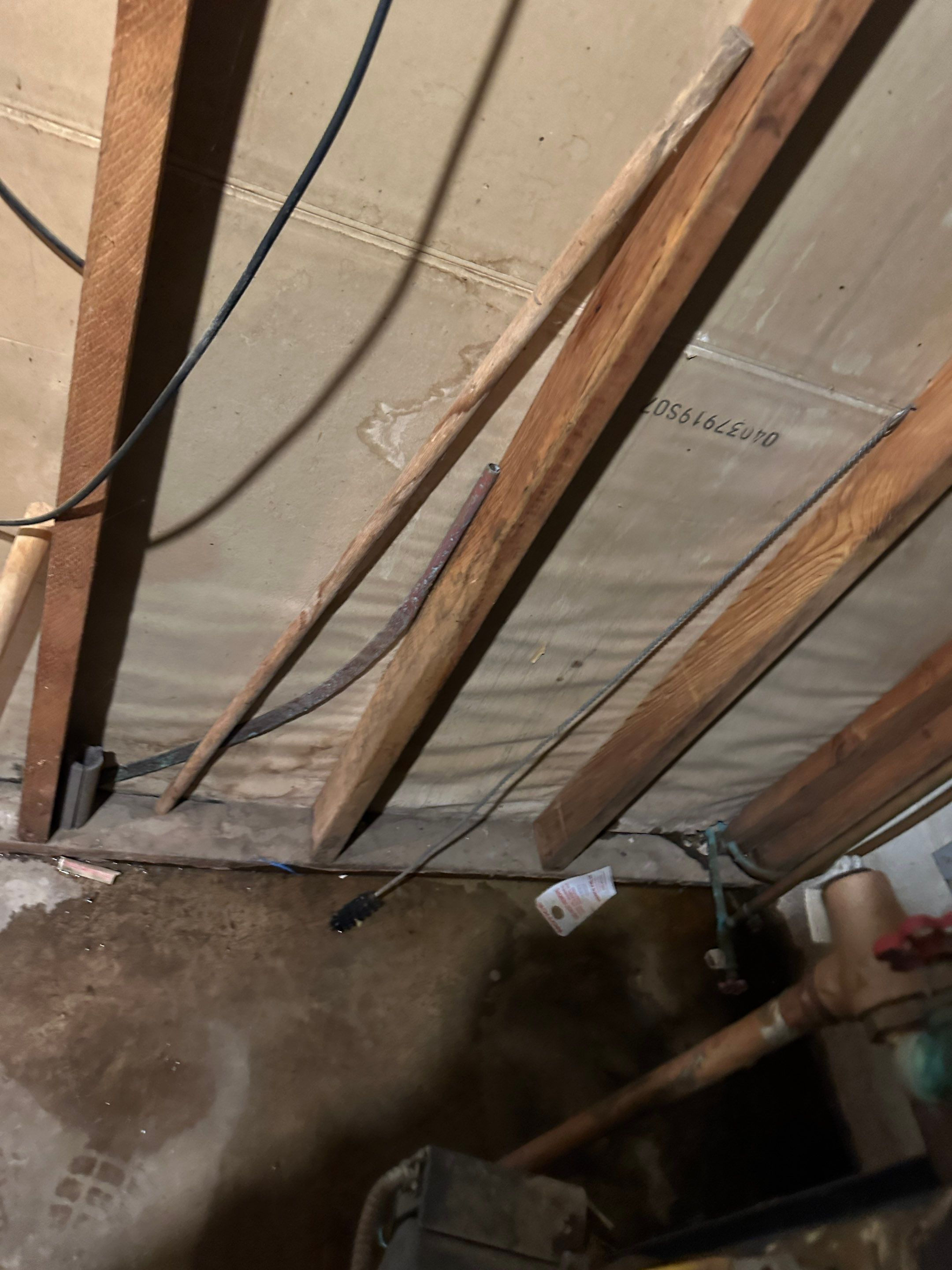 Basement Mold Remediation by Home Guarantee, LLC