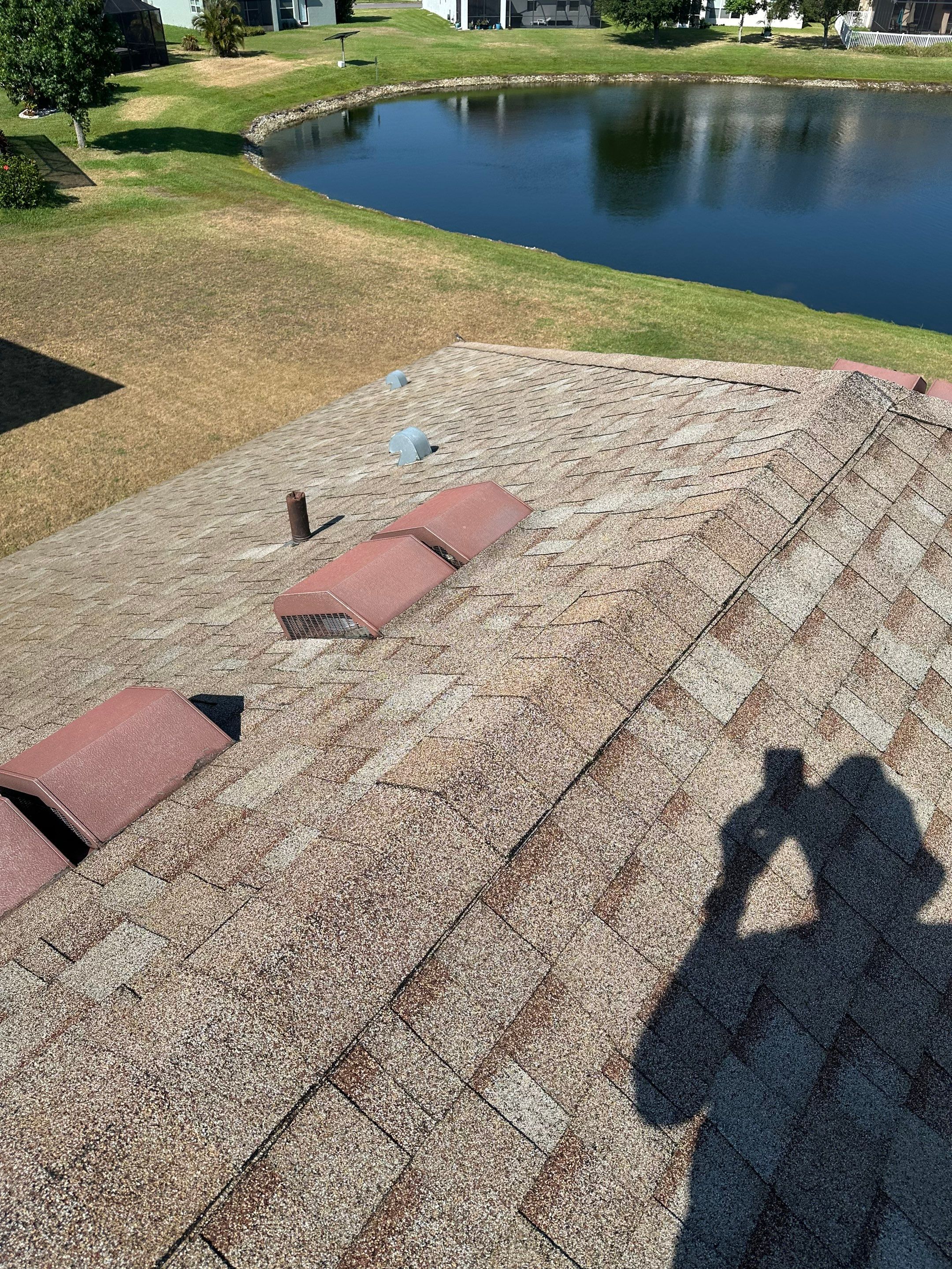 Asphalt Shingle Roof Soft Wash Cleaning & Concrete Pressure Washing in CopperStone Community, Parrish, FL by Sunshine AquaWash