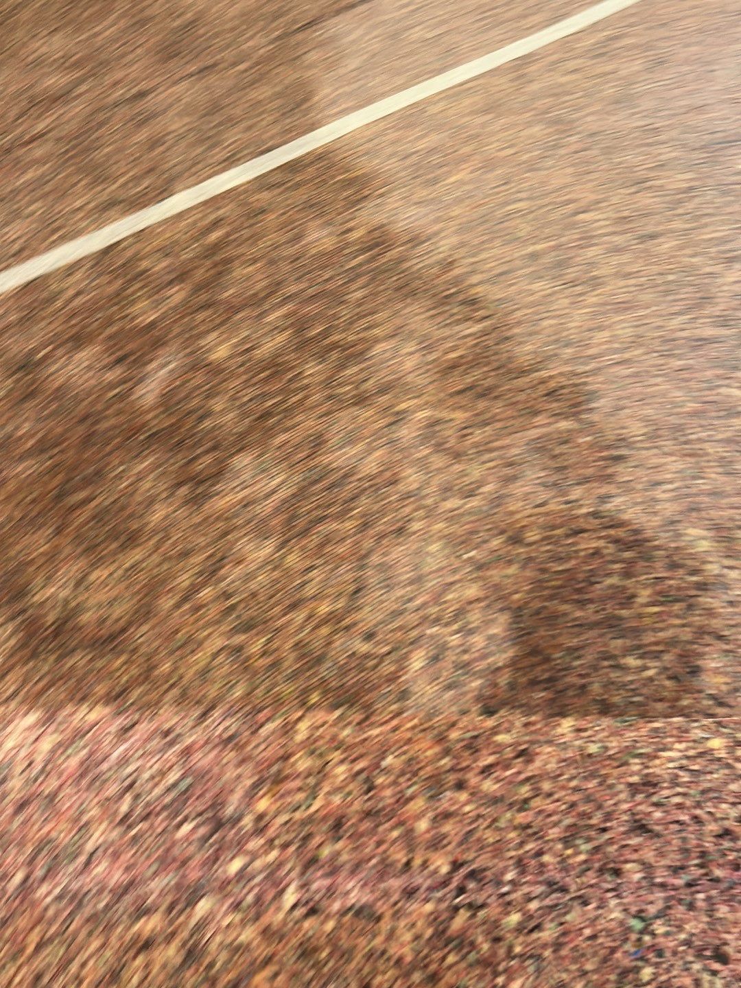 Water Damage by Accountable Home Services