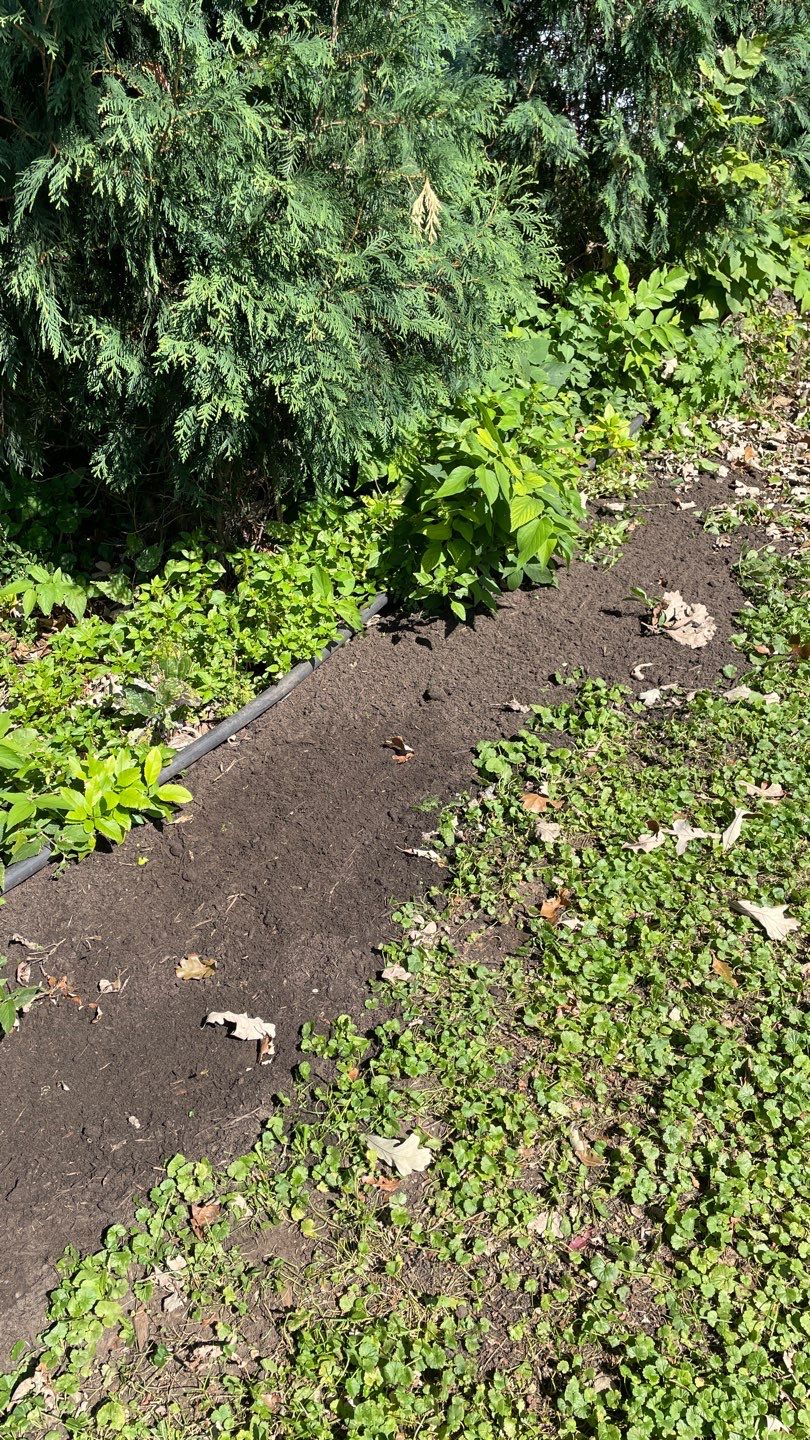 Sump Pump & Exterior Drainage in St. Paul, MN by Waterproofing Northeast