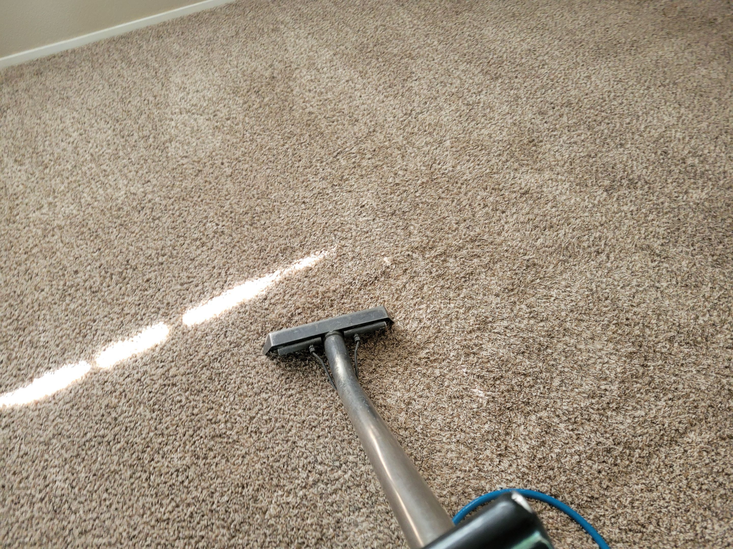Condo, Move-out Carpet Cleaning by Ardent Carpet Restore LLC