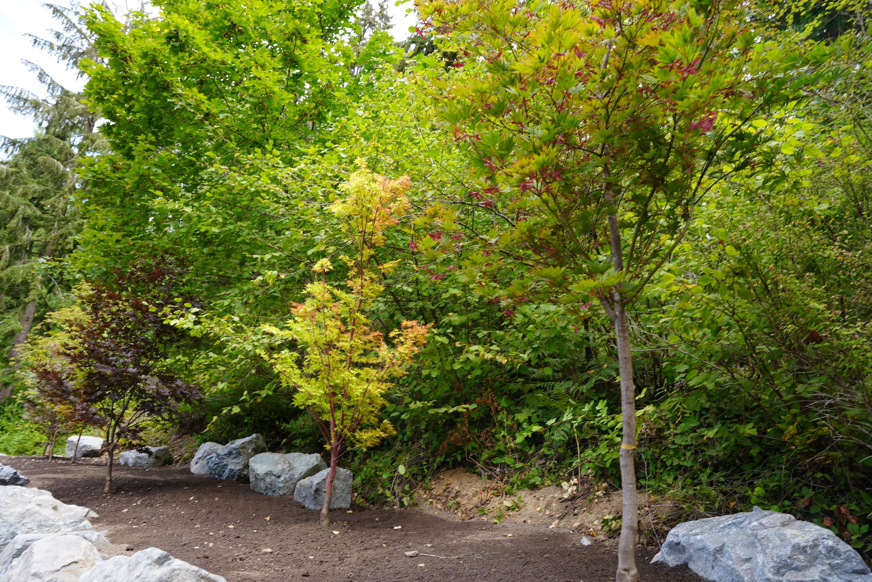 Jim | Rockery Wall, Landscaping, Road Repair & Sealcoating by Jireh Asphalt & Concrete Inc 