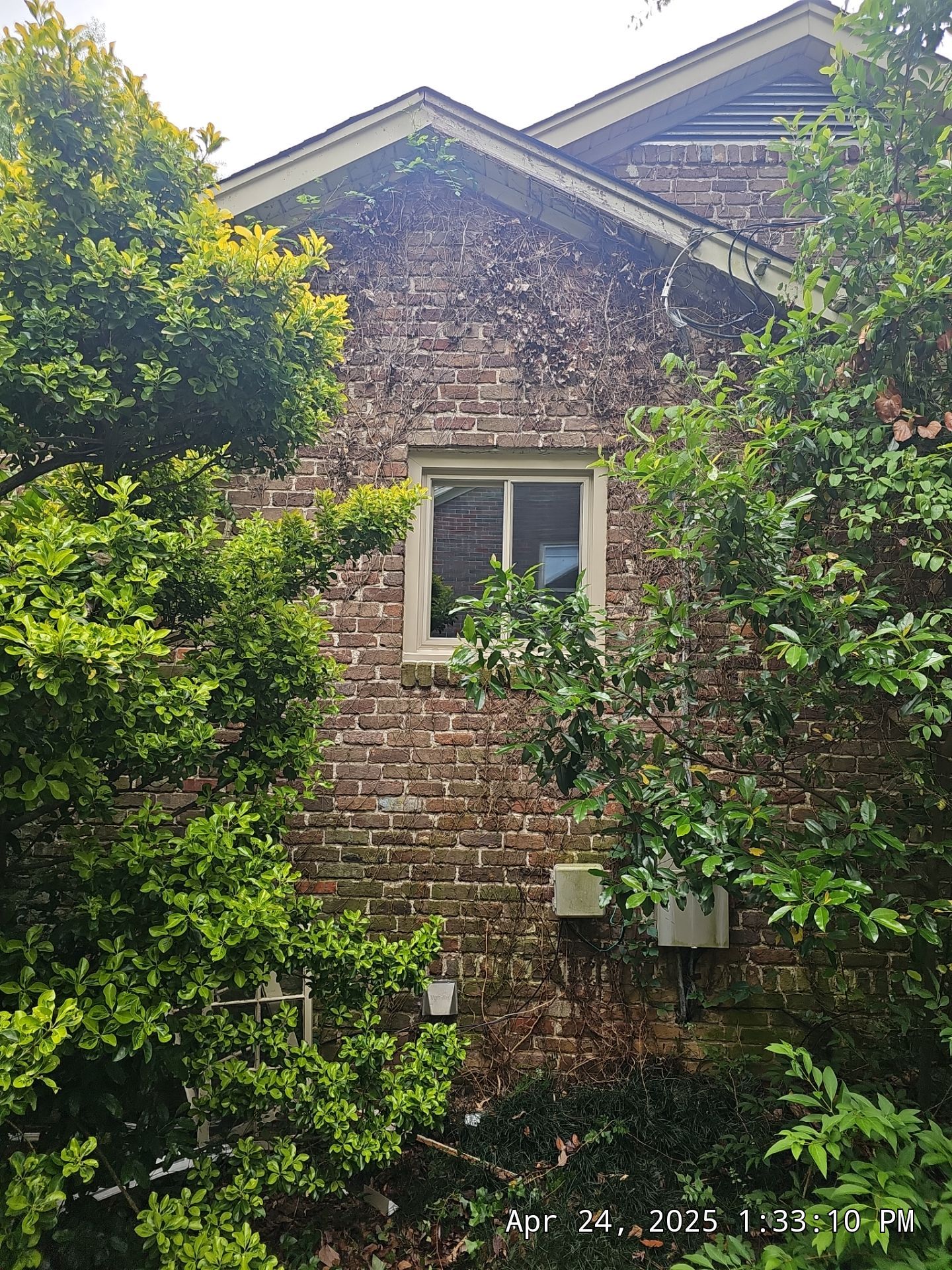 Crawford Project in Birmingham by The Window Source