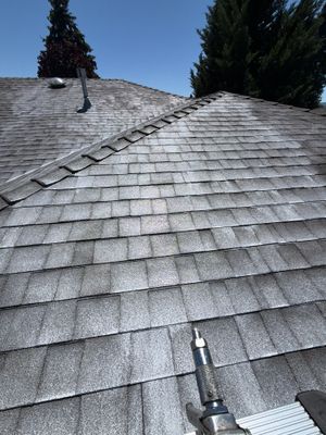 Project in Medford