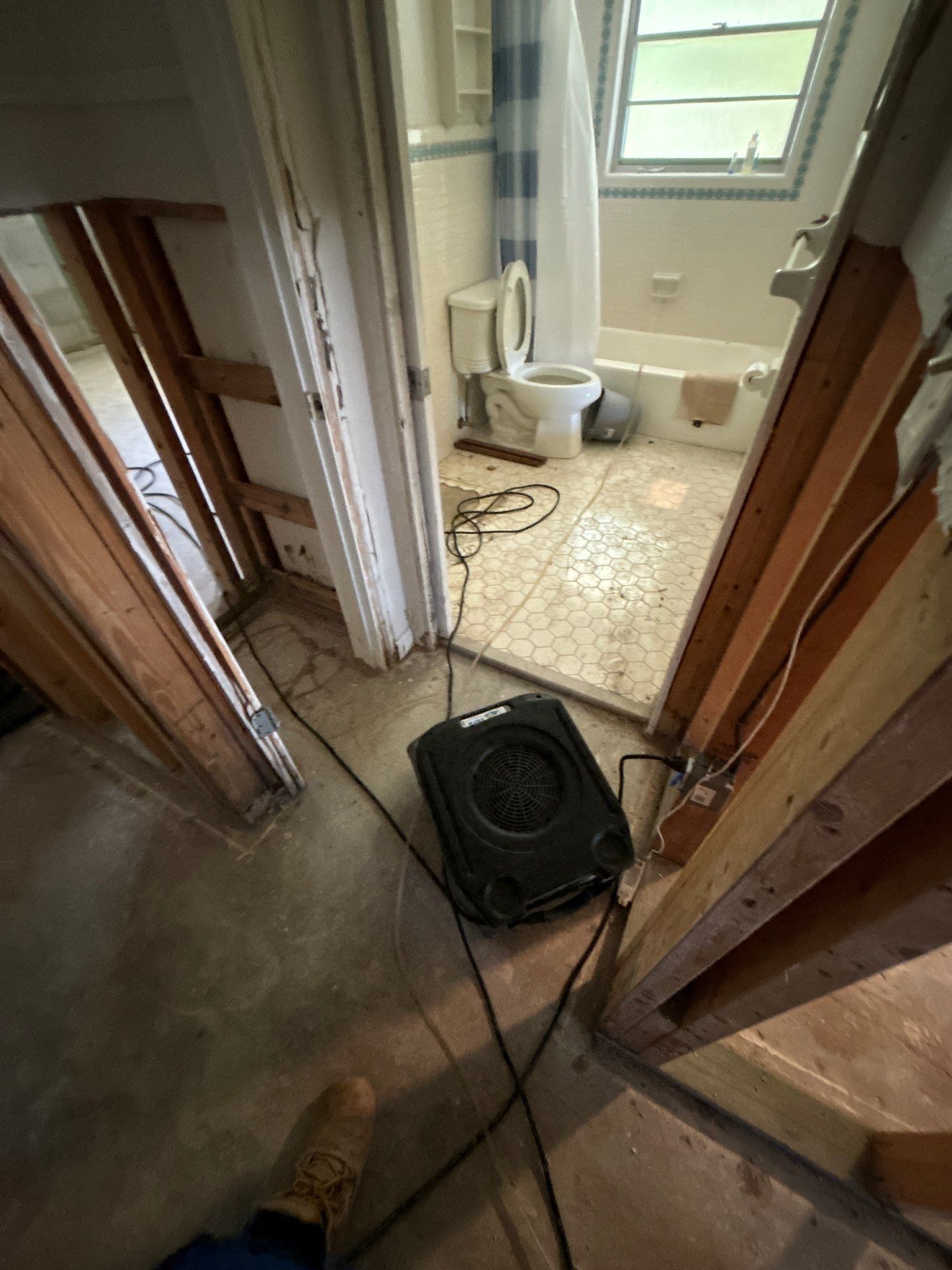 Water Mitigation by Ampm Restoration Services 