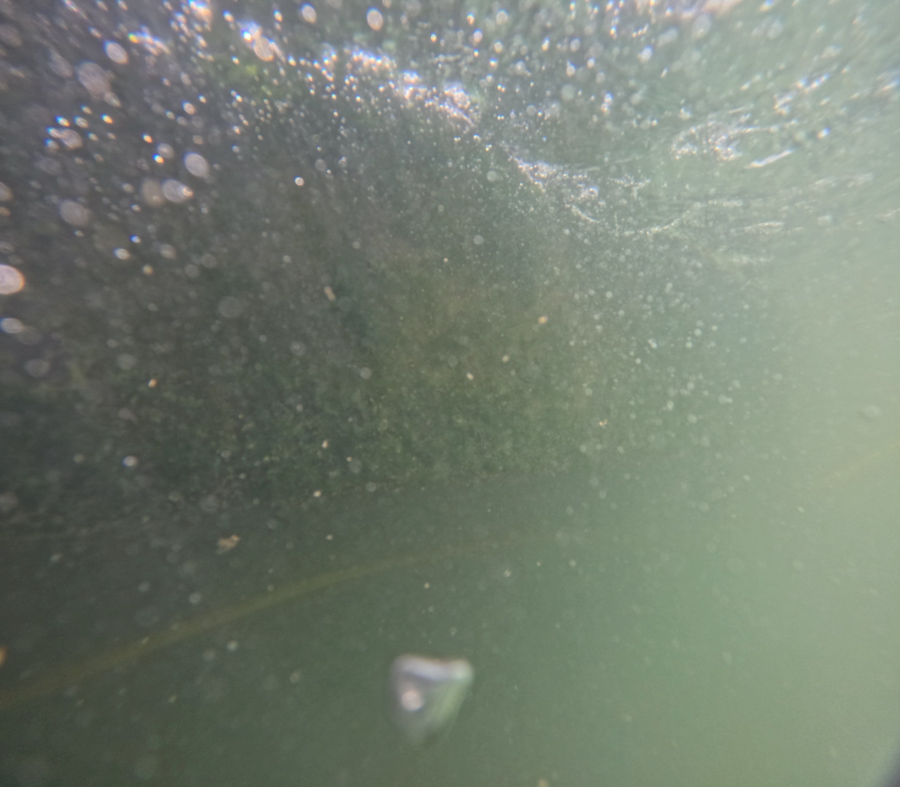 Project in Marco island, FL by Florida Hull Cleaning 