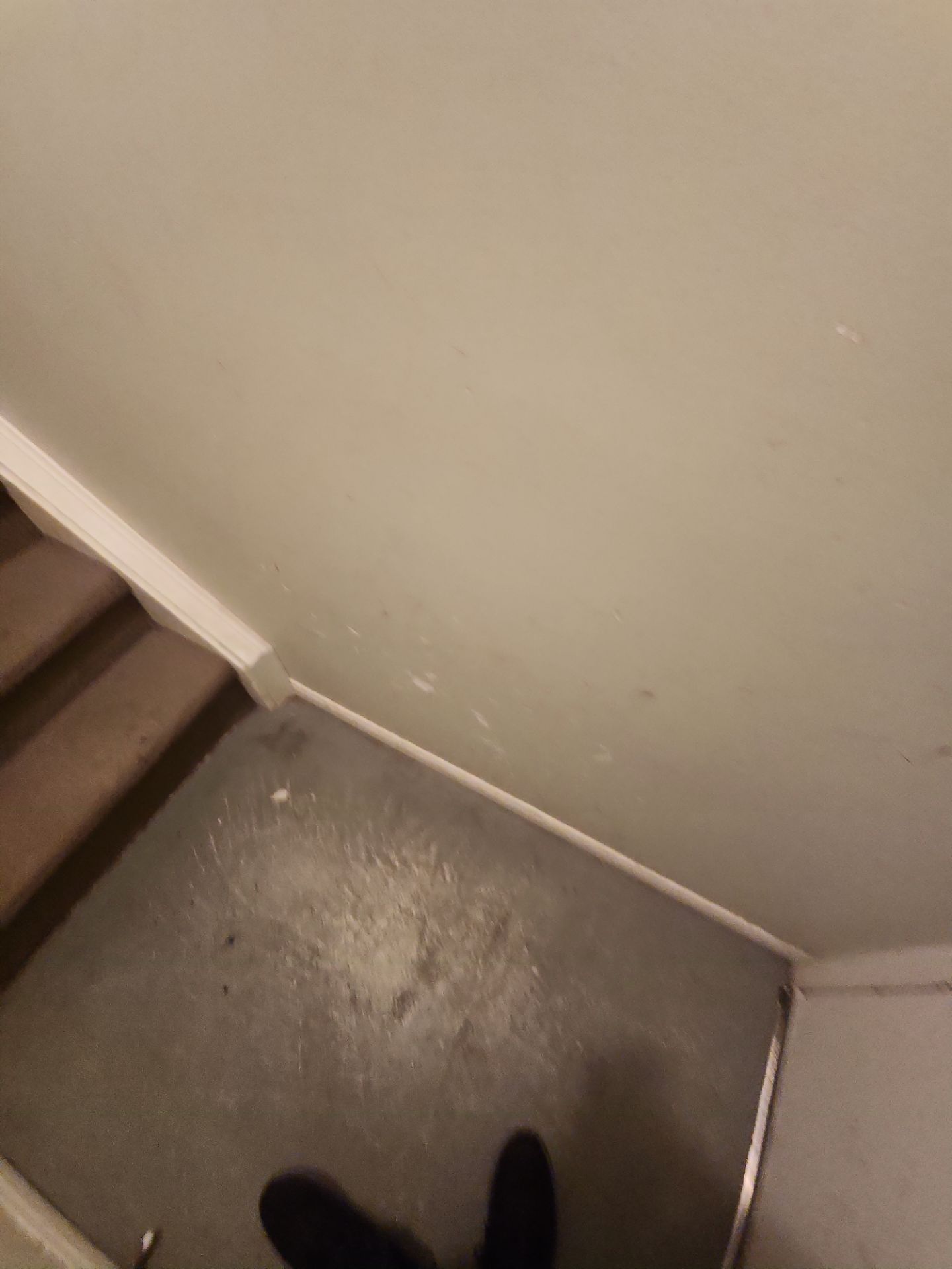 Project in Toronto by GTA HOME PAINTING