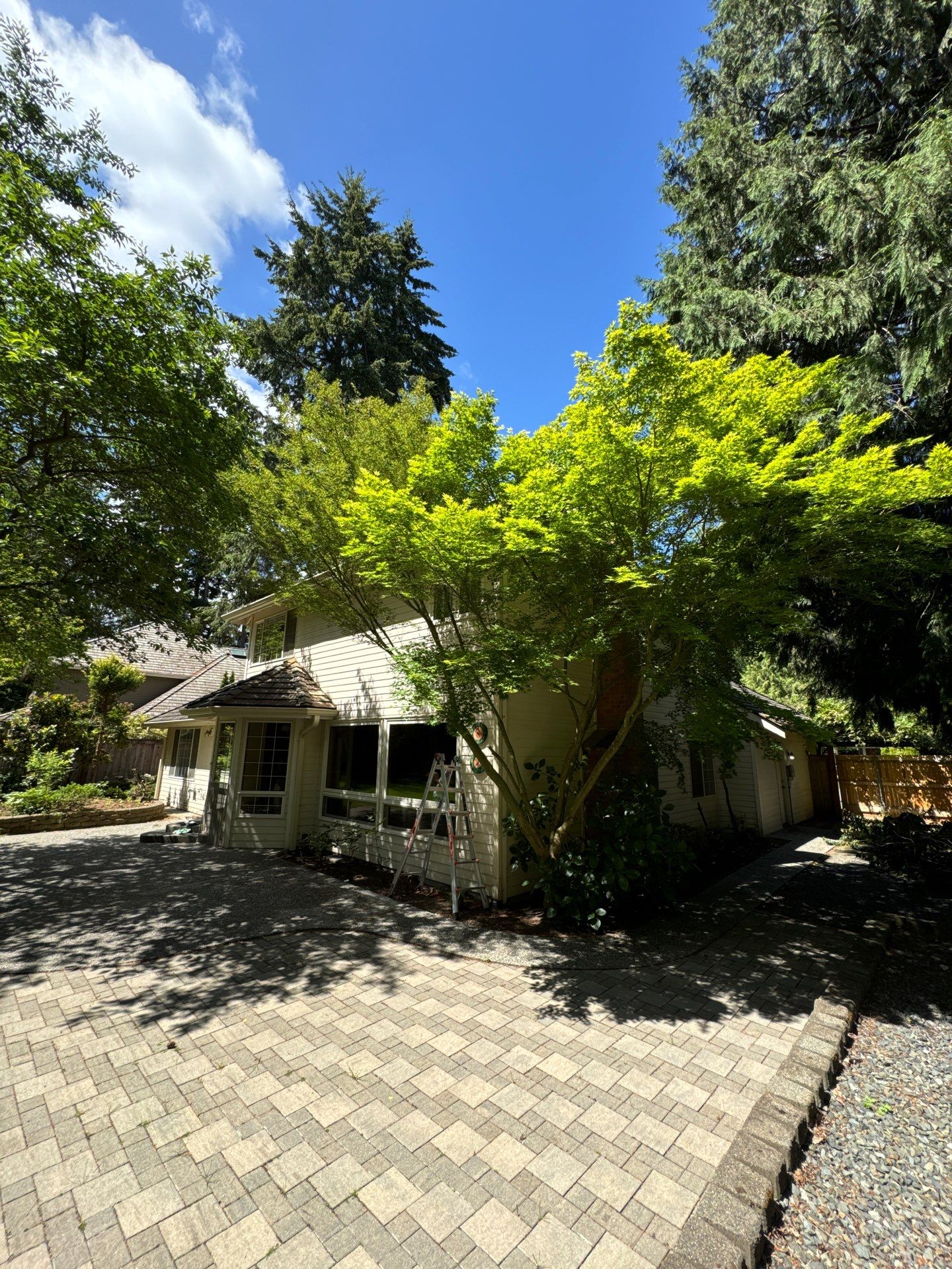 Project in Mill Creek by Peaks and Valleys Construction