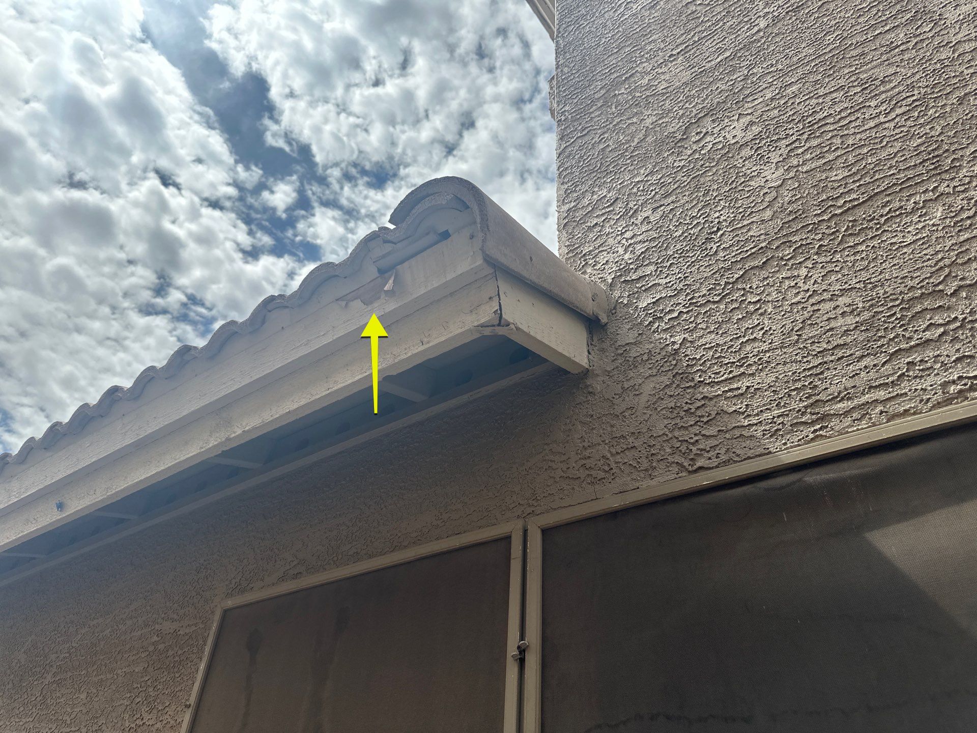 Exterior Painting - Chandler by Crash of Rhinos Painting & Garage Floors