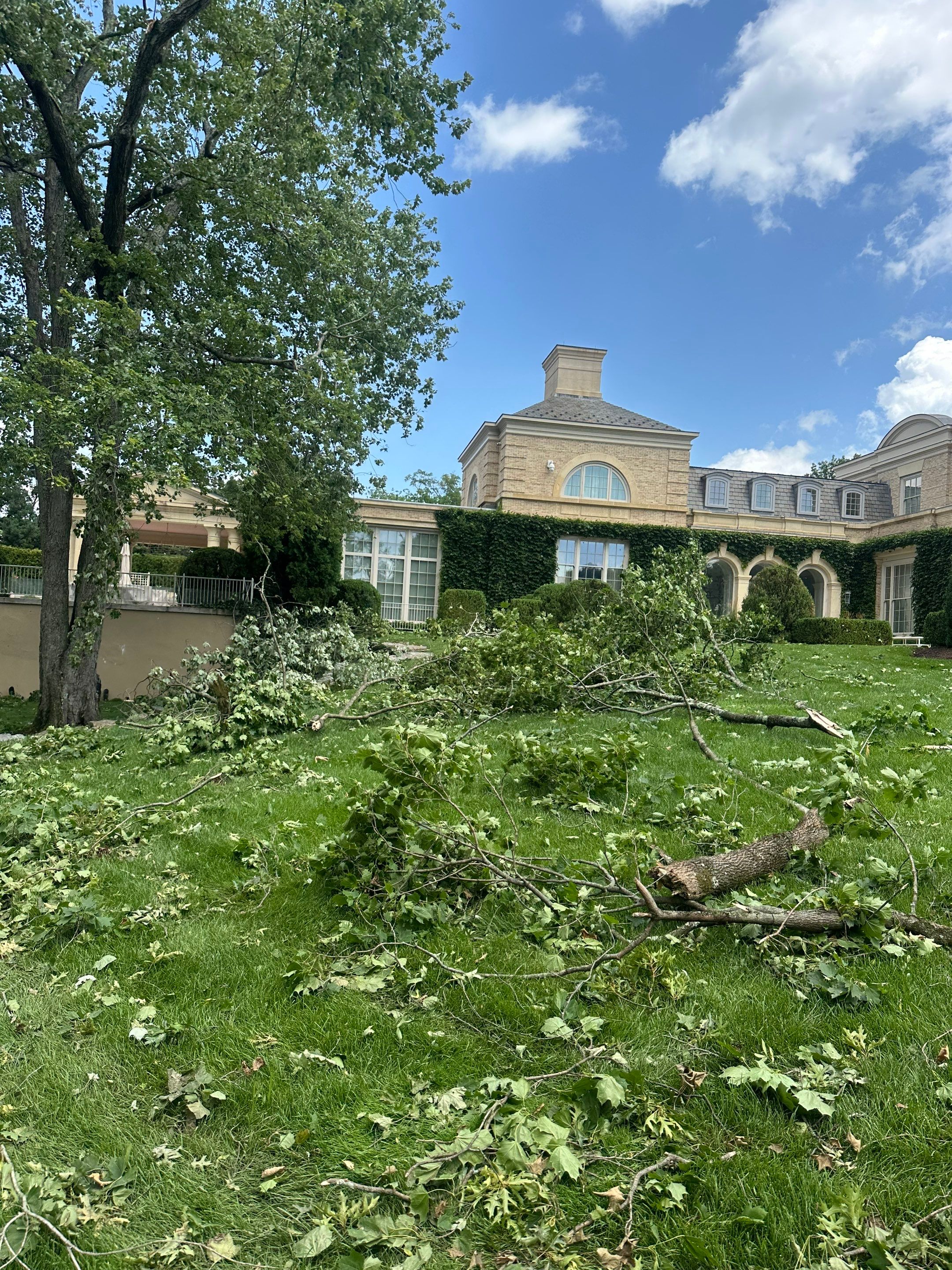 Emergency Tornado Damage Cleanup and Hazardous Tree Removal in Harrison by Fox Hill Luxury Real Estate Services