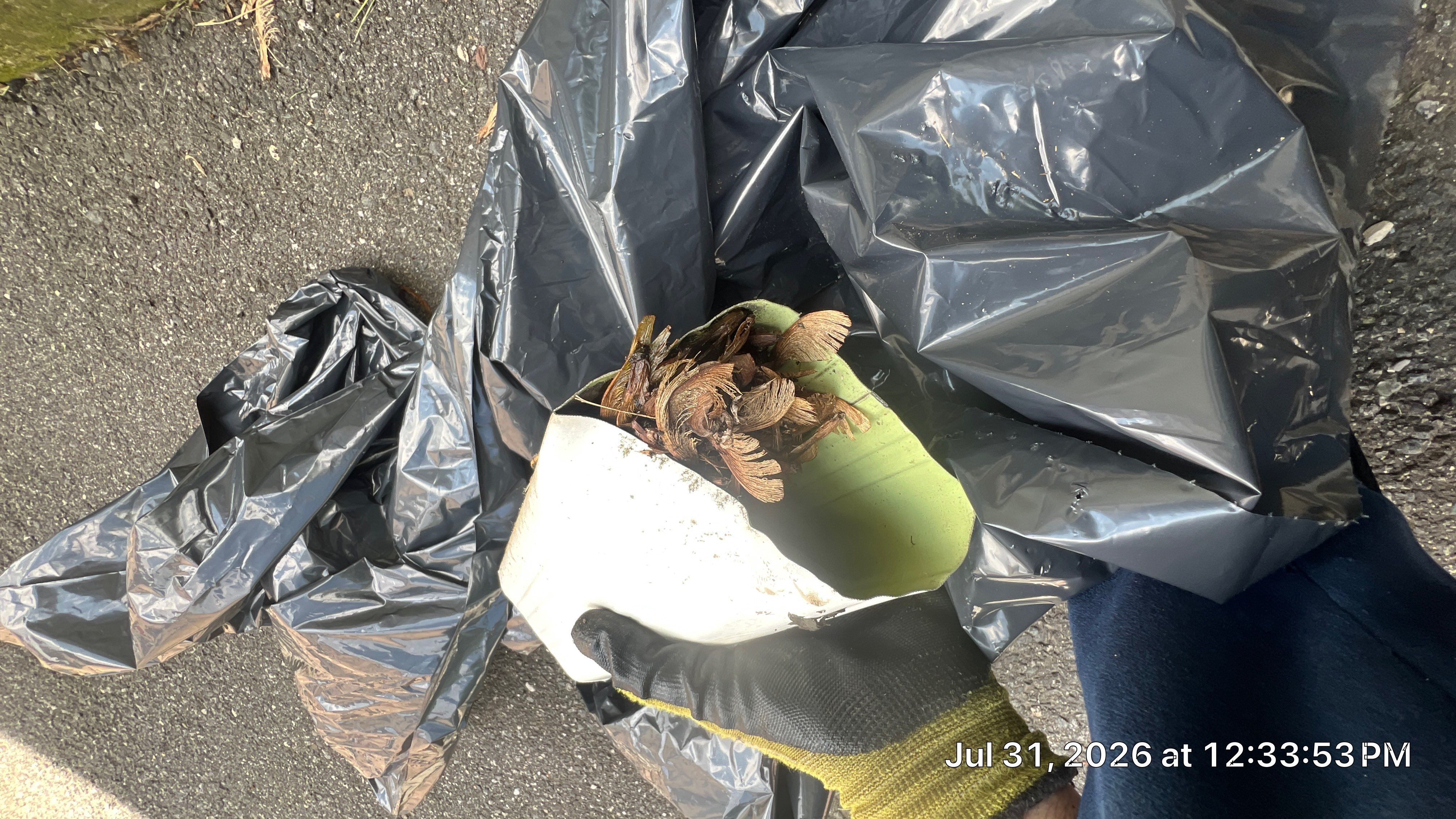 Gutter Cleaning & Underground Drain Cleaning in Montclair, NJ by NJ Home Maintenance Services