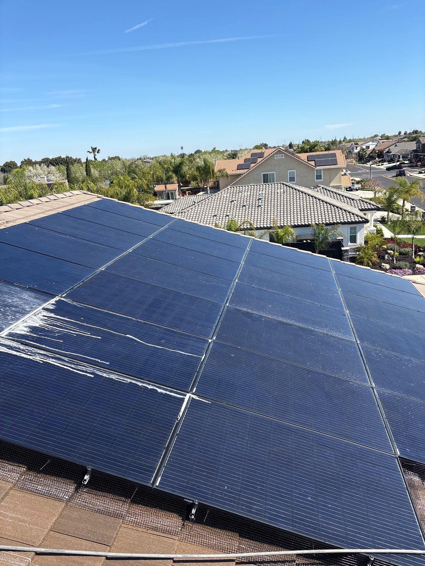 Project in Brentwood by Top Elevation