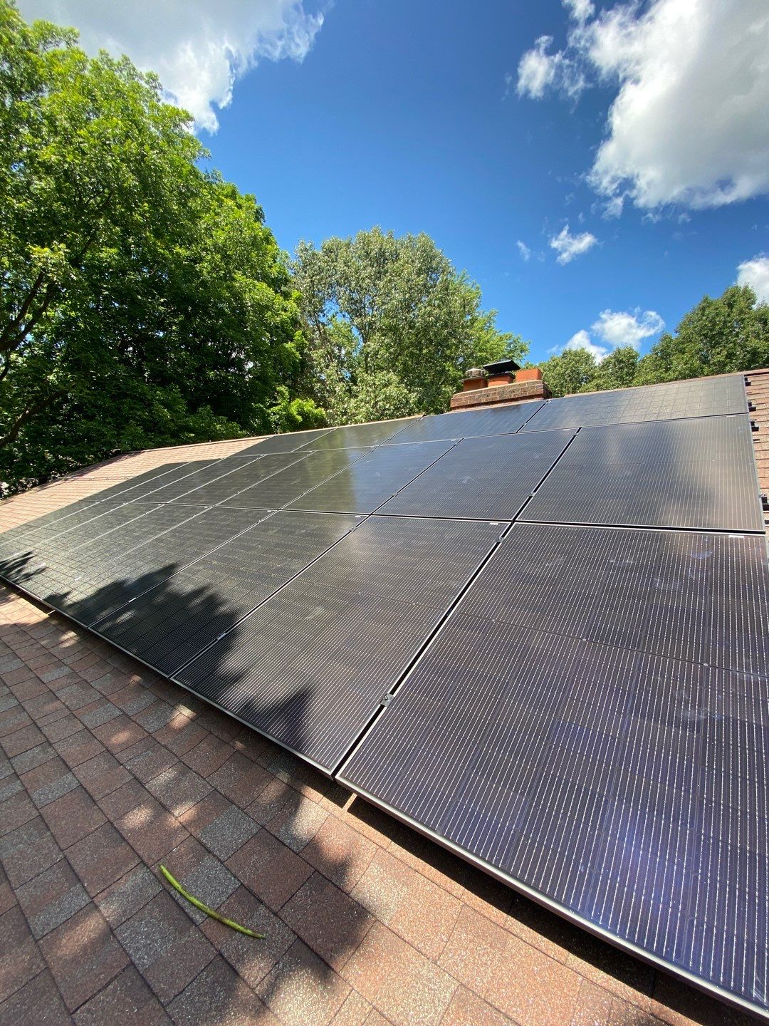 Solar Panel Installation and Tree Removal by Infinity Solar Systems