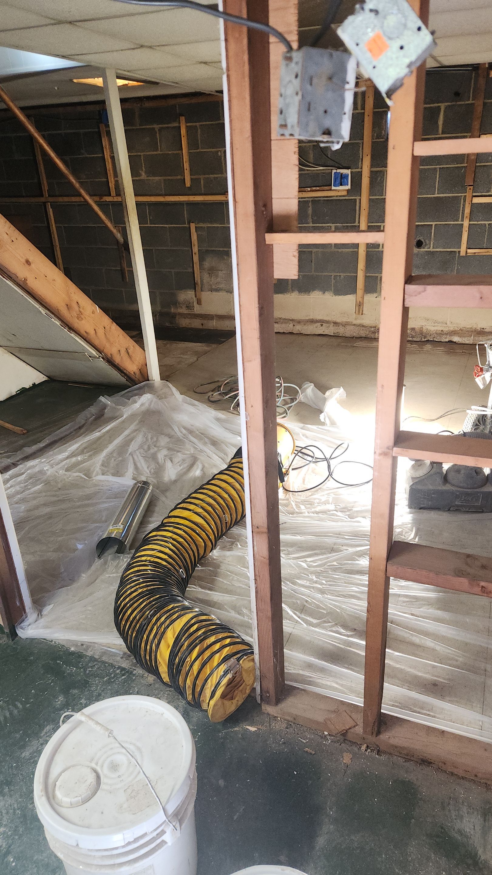 Interior French Drain & Mold Remediation Project in Manville, New Jersey by Pure Service Pro, LLC 