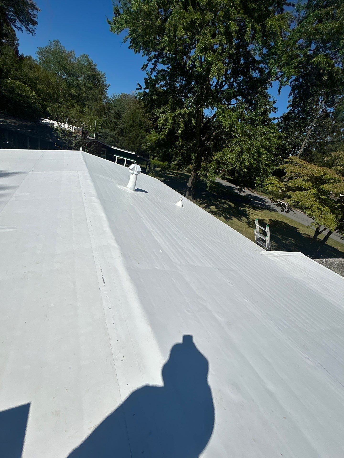 Falls Church :  TPO by RM Banning, Inc.