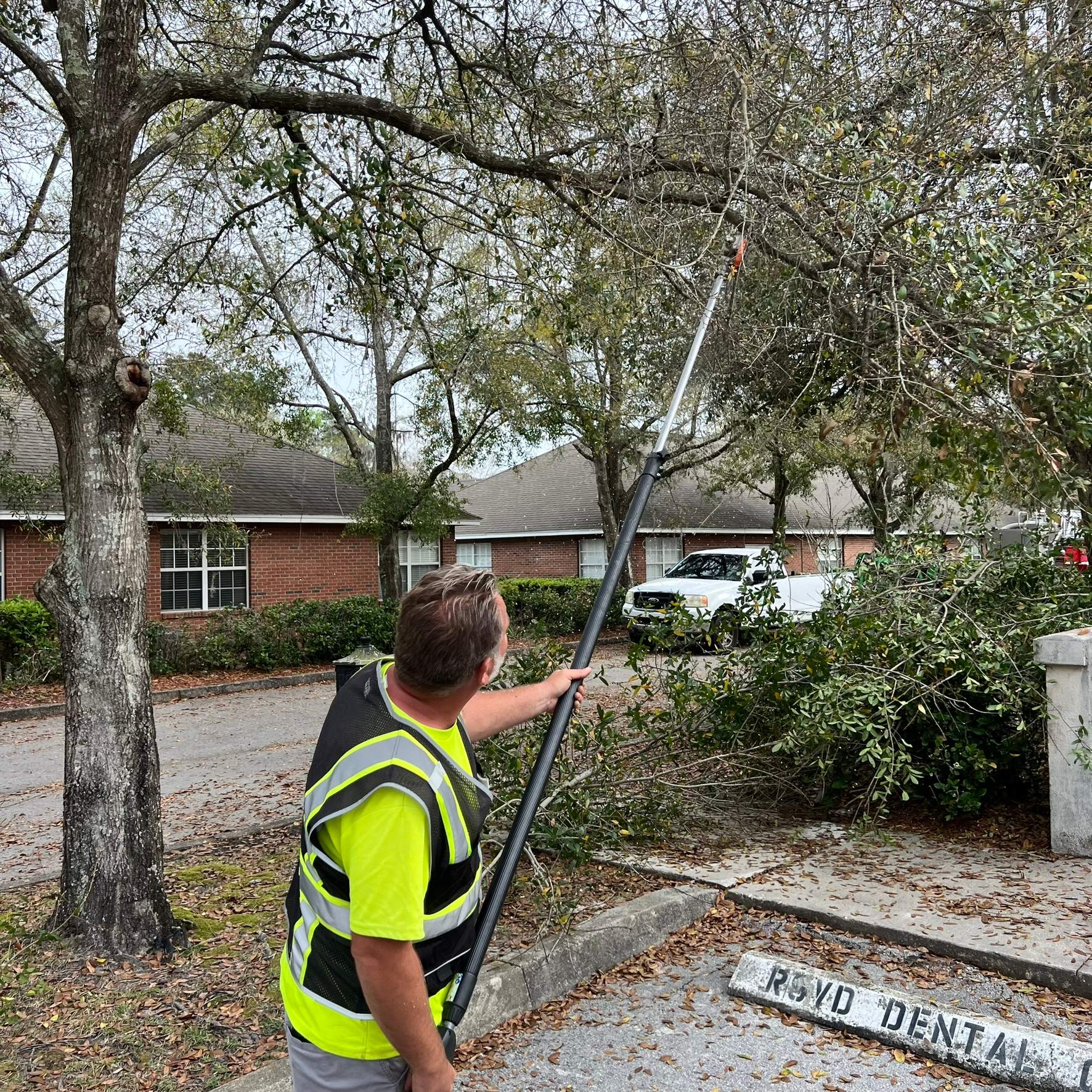 Tree Work | Great Expressions Dental by ProGreen Services