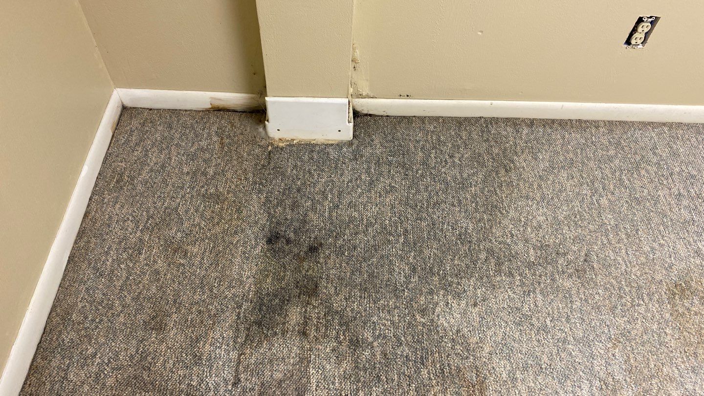 Water Damage  by Accountable Home Services