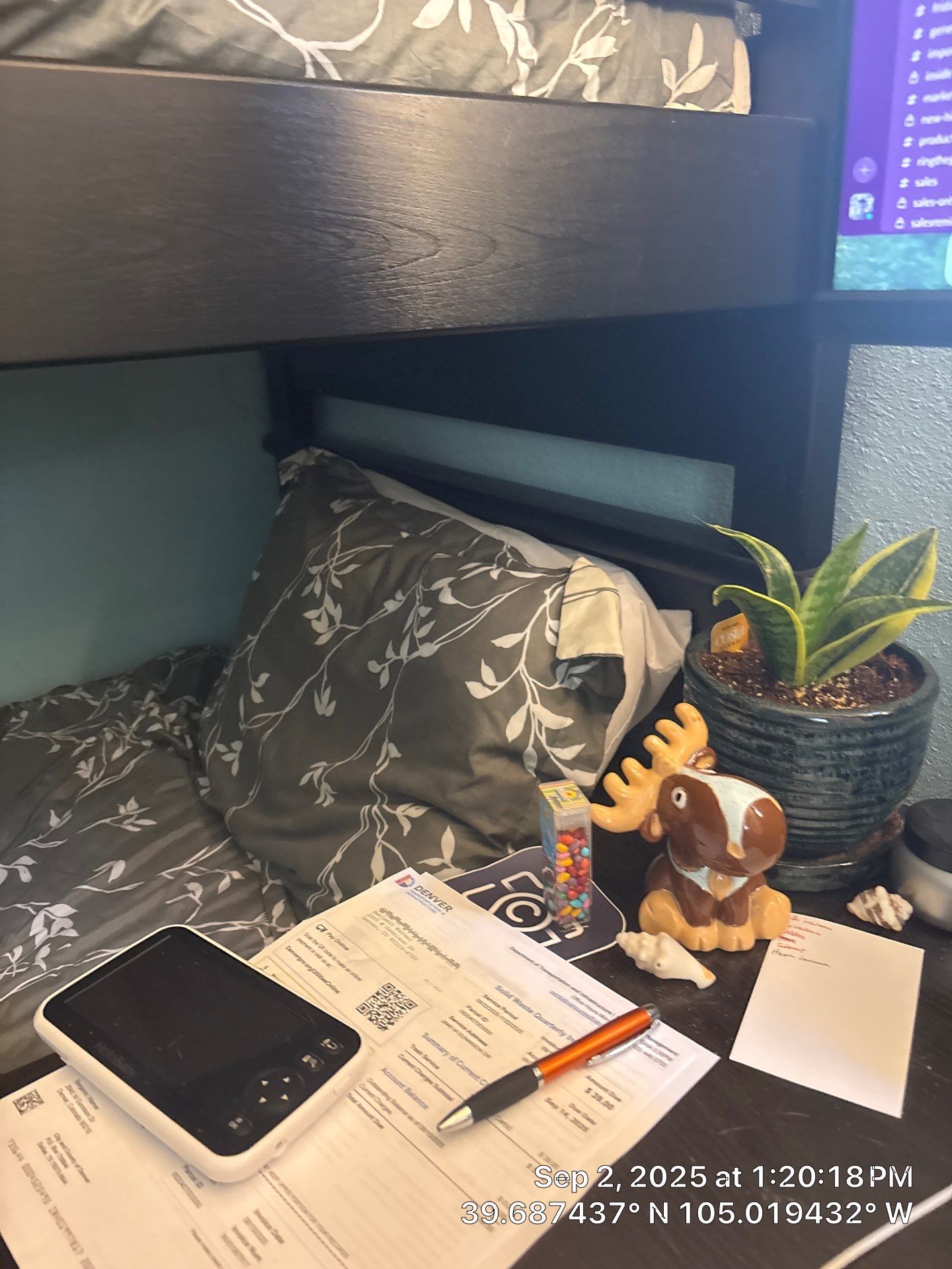 Jones Repipe by CompanyCam Sales Demo