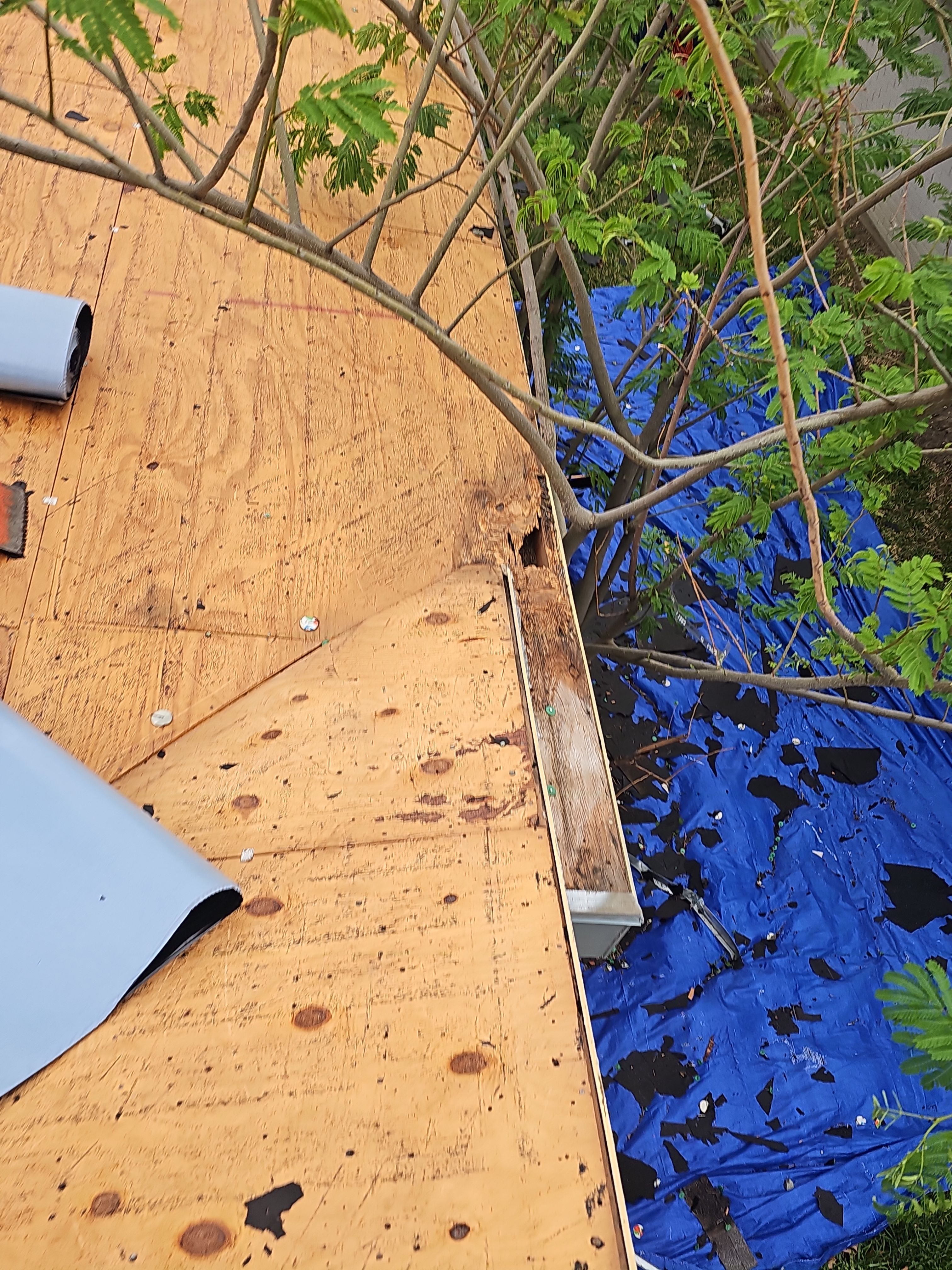 Full Roof Replacement & Flat Roof System in Garland by road roofing llc