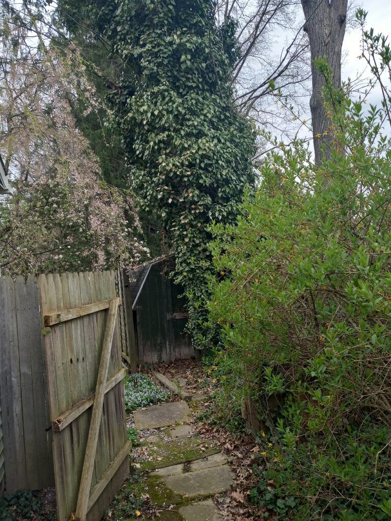 Tree Removal using Tree Removal by Mike Jones & Sons Tree Service LLC 