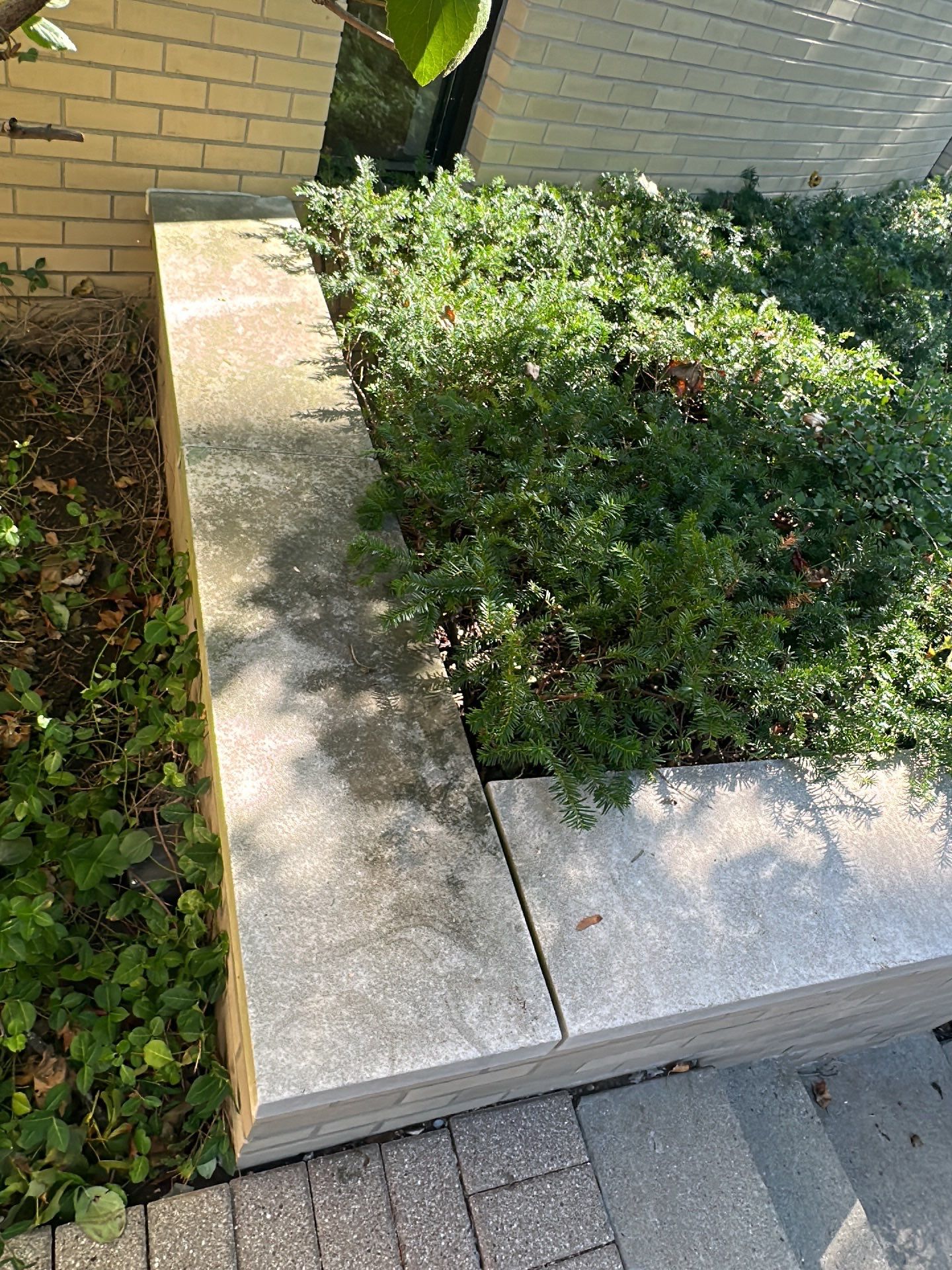 commercial pressure washing using Algaecide, soft wash soap by Northern Power Washing LLC.