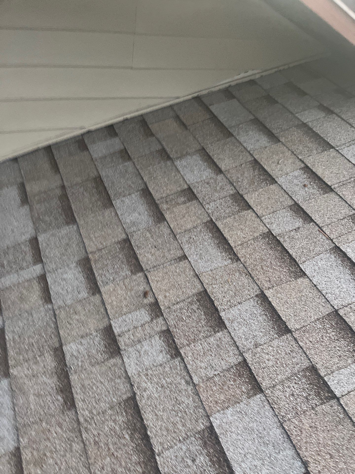 Project in Largo 33770 by Mitchell Roofing Company LLC