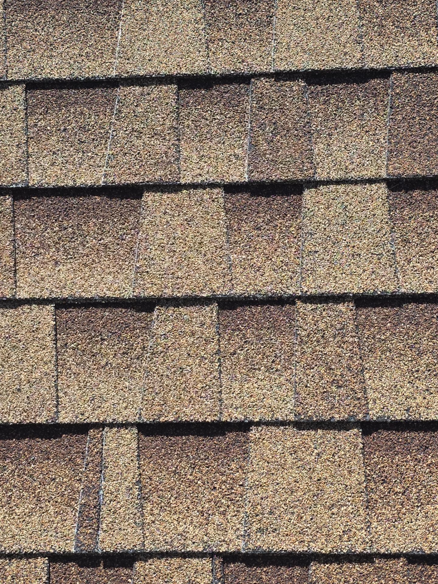 Roof Rejuvenation using Roof Maxx Treatment by Roof Maxx of Folsom