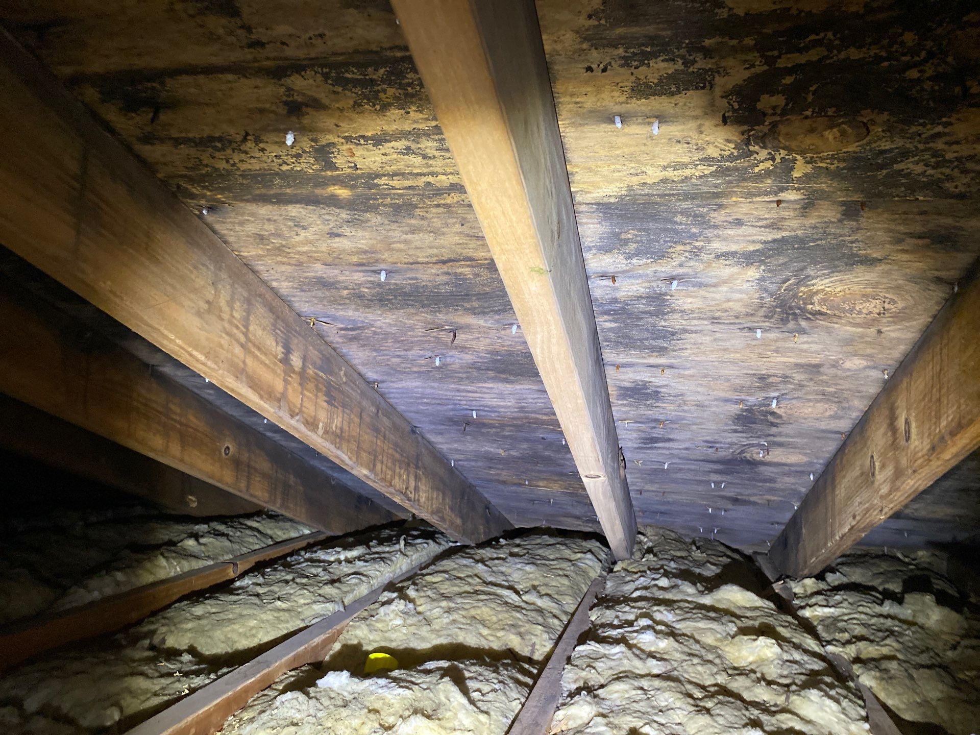 Attic mold remediation and insulation upgrade in Amity, PA by Home Environment Solutions