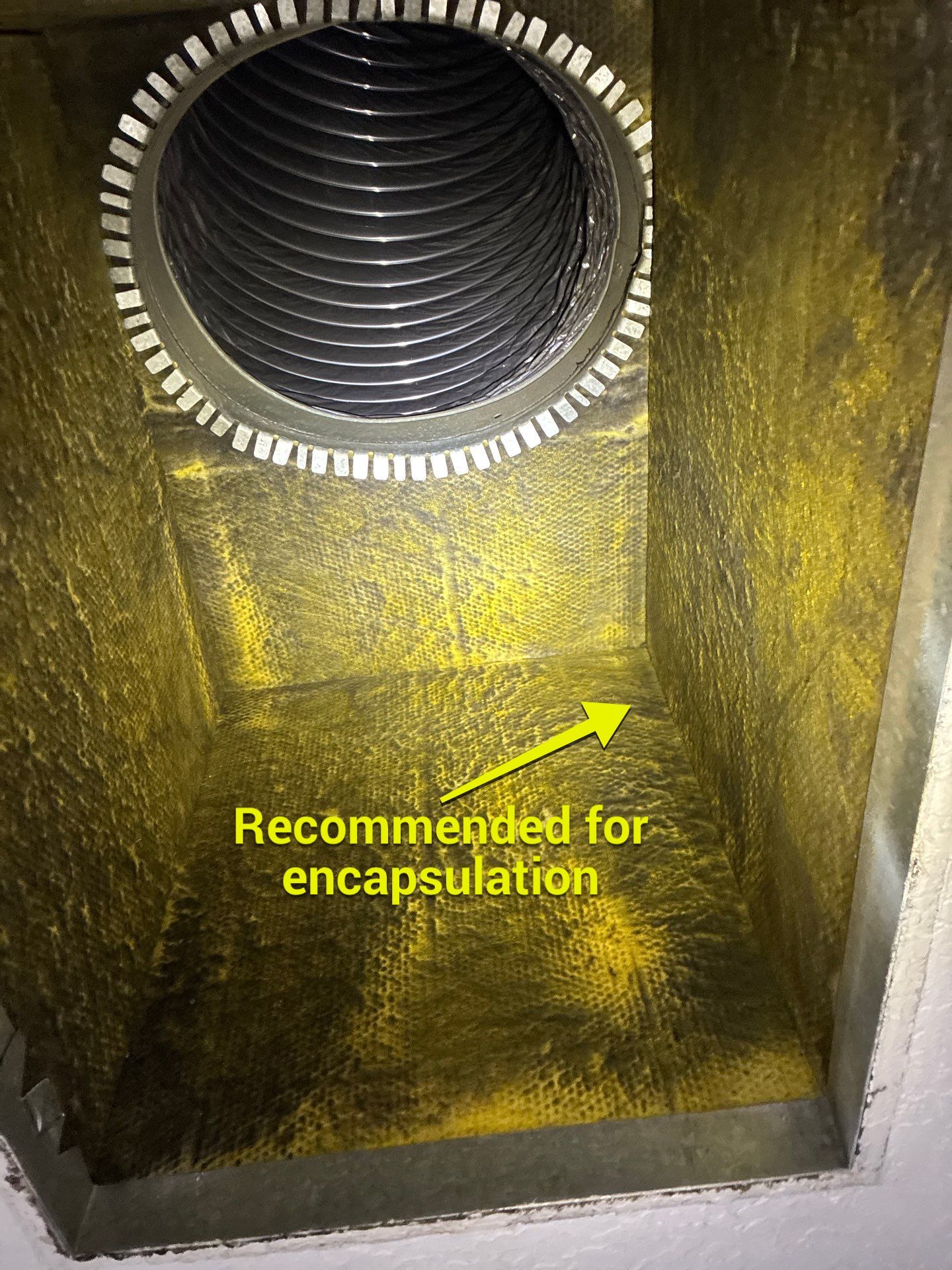AIr Duct Cleaning in Clermont by Hygienic Air, Inc
