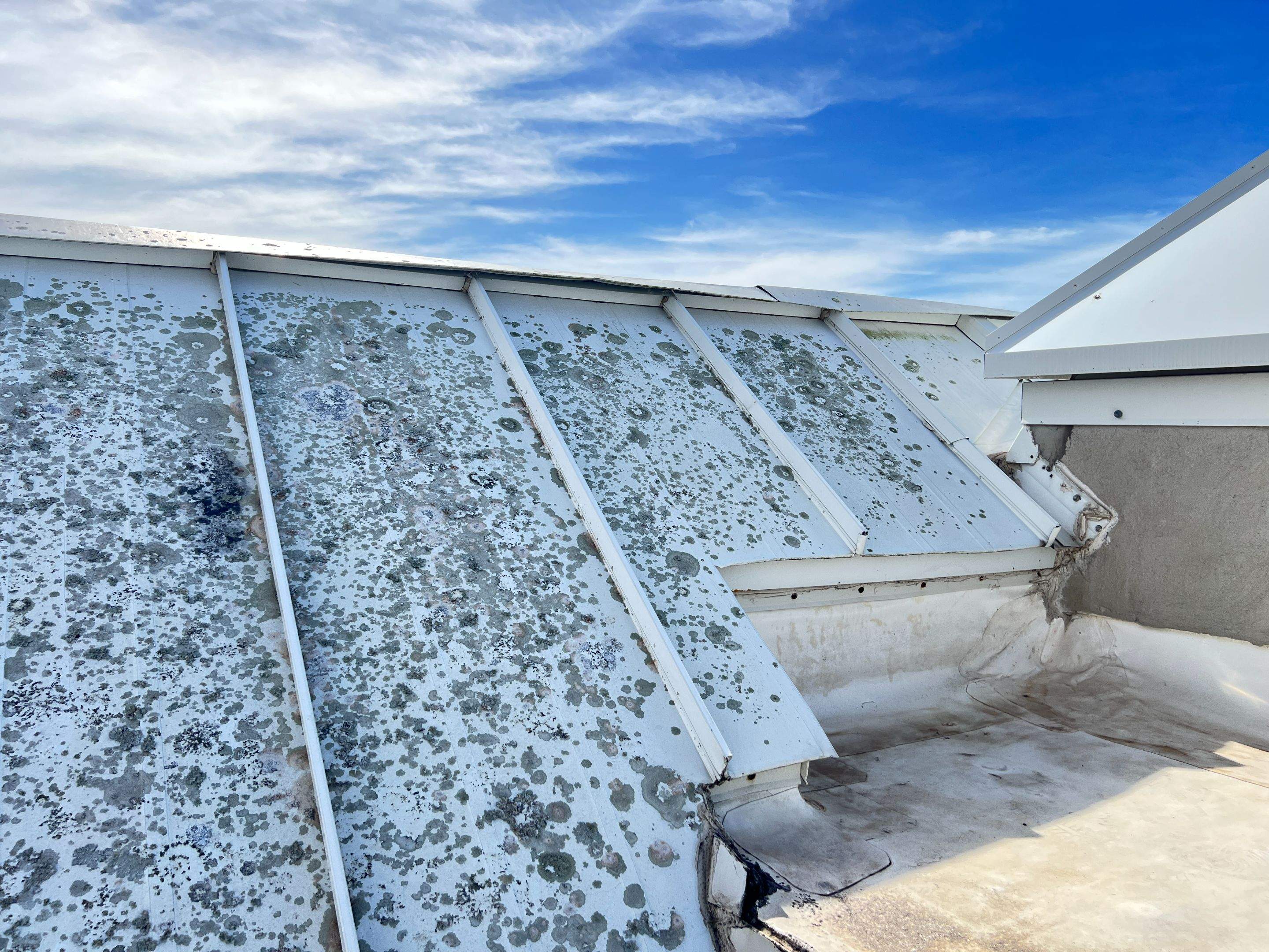 Roof Damage Claim in Sarasota by FLAPA & KeyStone