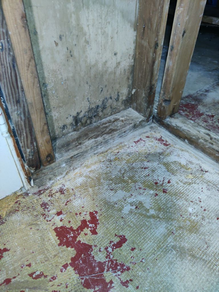 Mold Remediation in Basement by Accountable Home Services