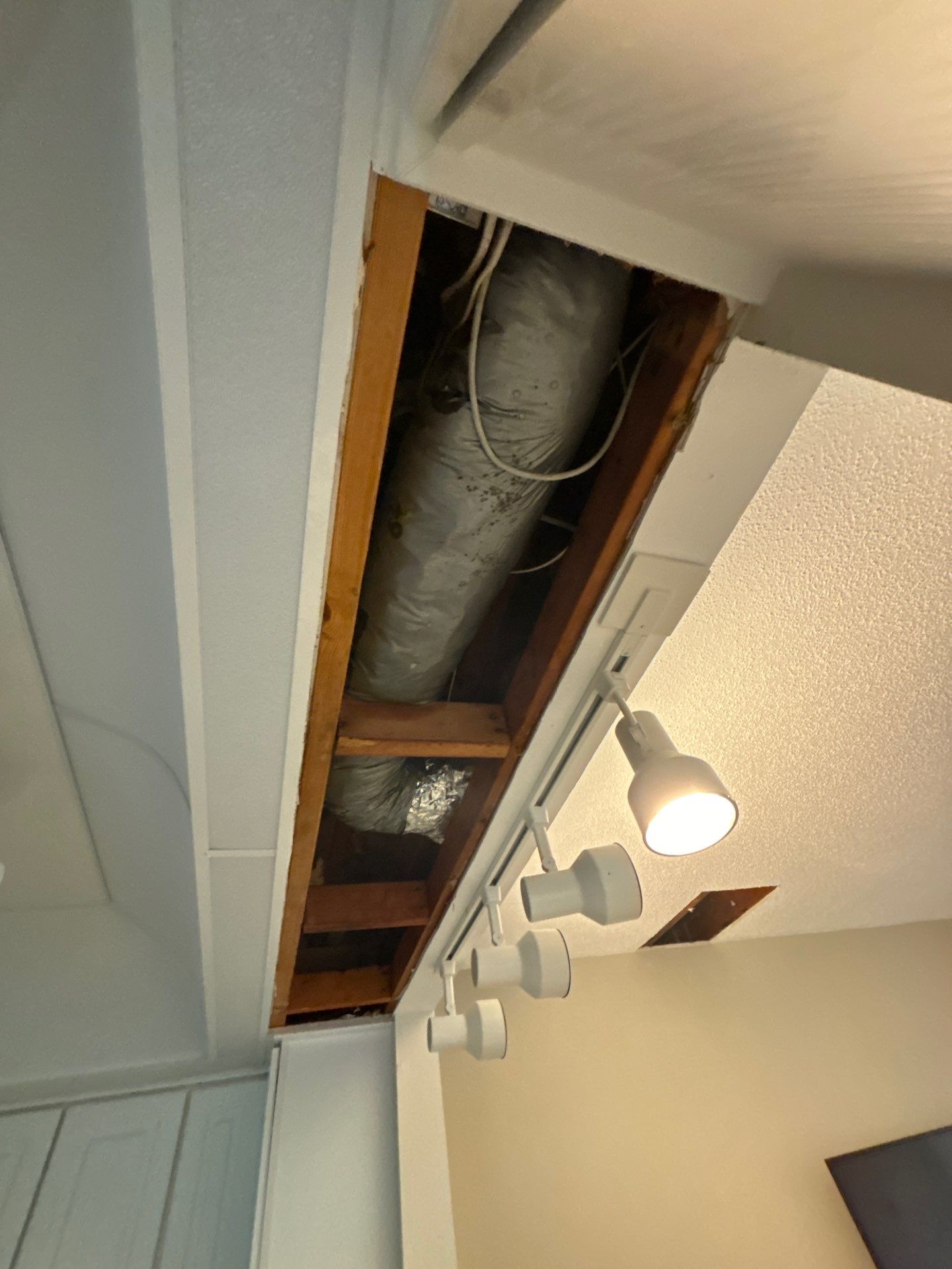 Water Restoration by Ampm Restoration Services