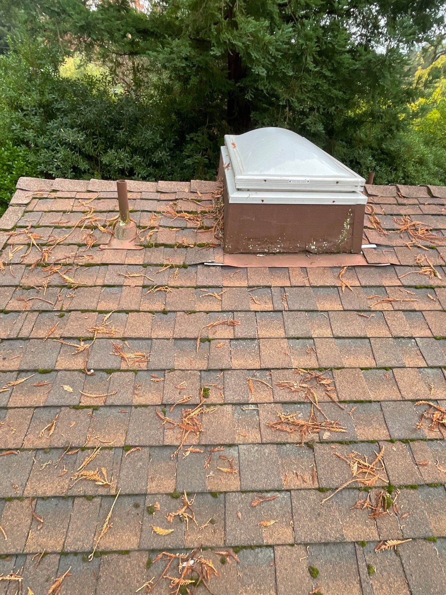 Roof Rejuvenation using Roof Maxx Treatment by Roof Maxx of Folsom