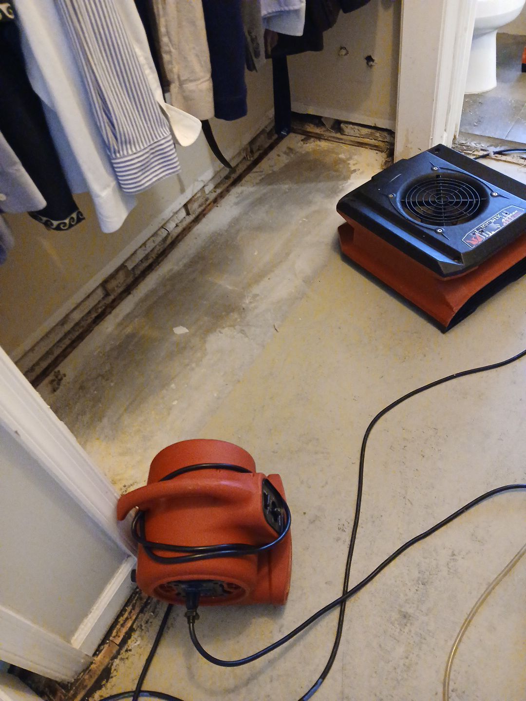Wellington Water Damage Restoration with Thermal Imaging and Extraction by SuperClean 