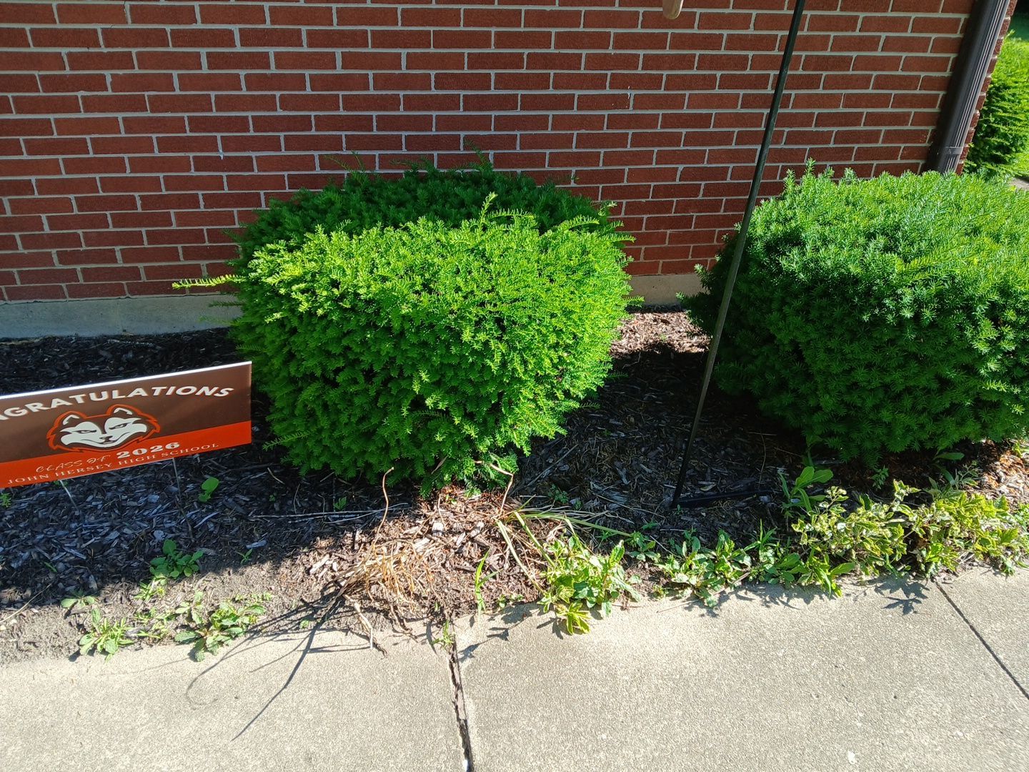 Martha C. - Mount Prospect, IL by A&N 