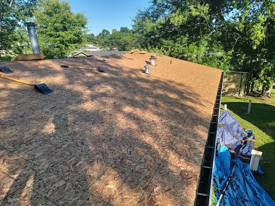 Shannon Davis by Silver Leaf Contracting 