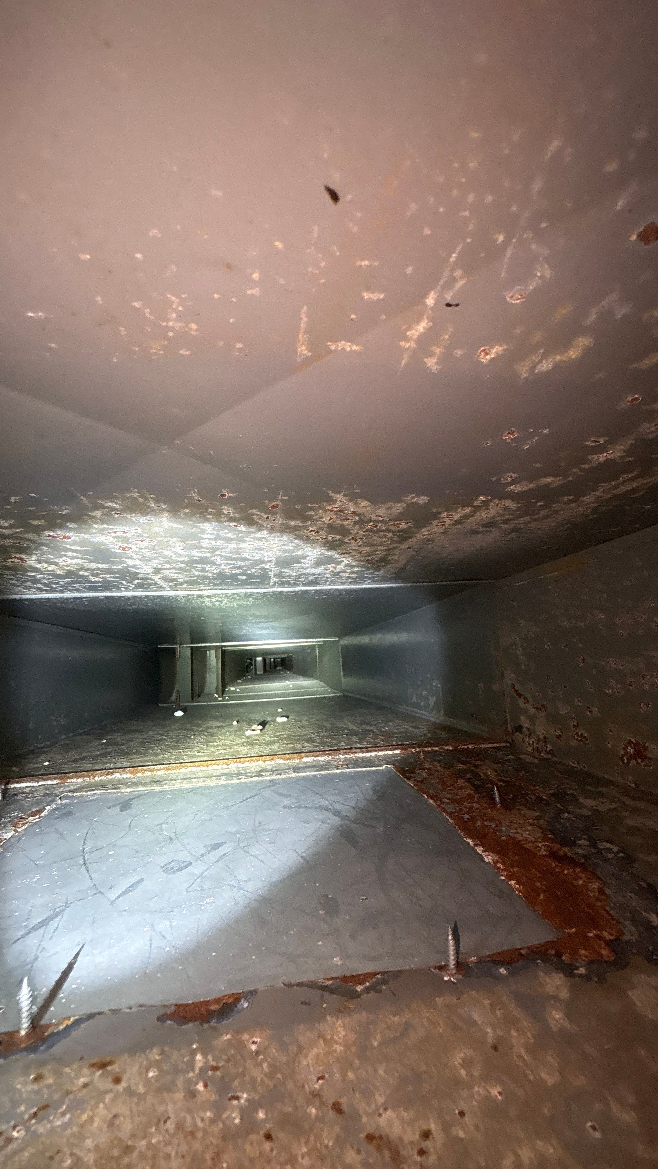 Residential Air Duct Cleaning Service in Fox Chapel by Superior Air Duct Cleaning