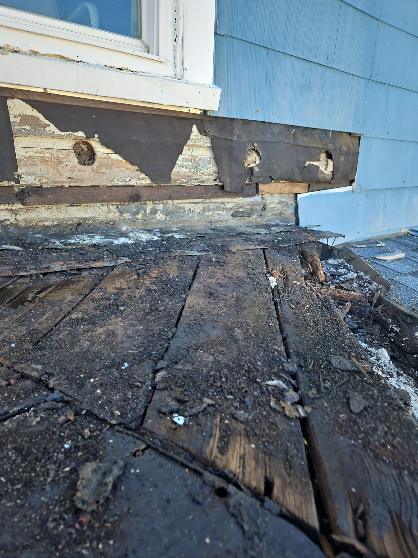 Asphalt & Flat roofing | Haverhill by Mighty Dog Roofing of Greater Middlesex County