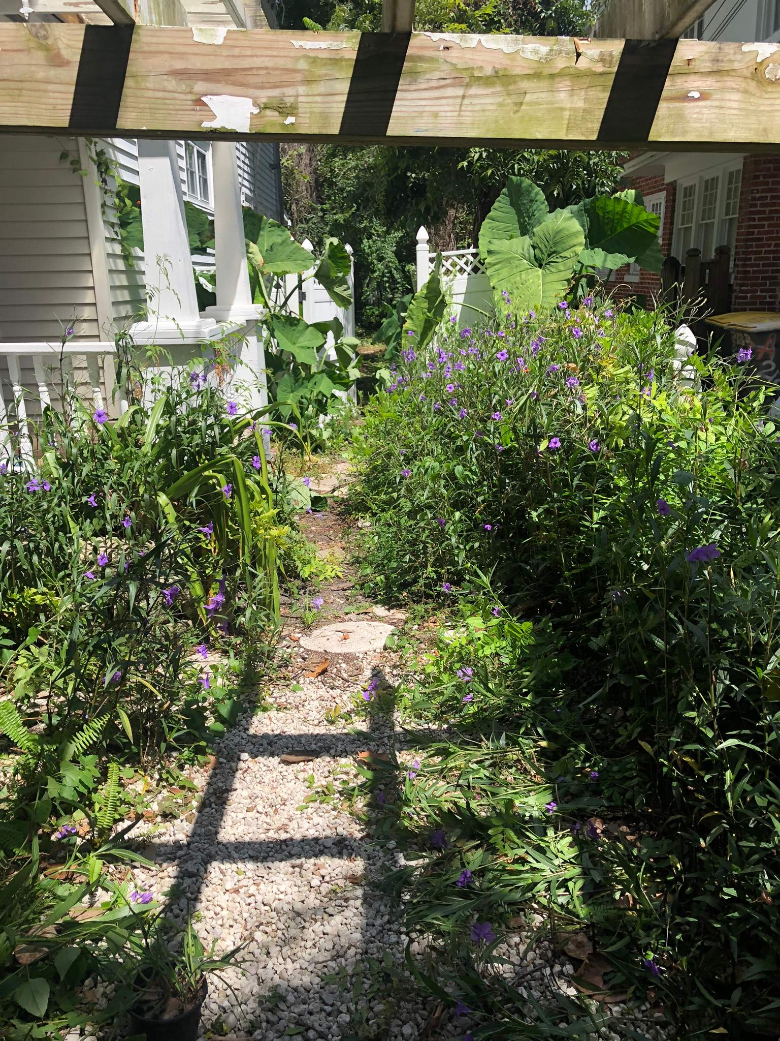 Extreme Clean Up - Landscape Install | Residential by ProGreen Services