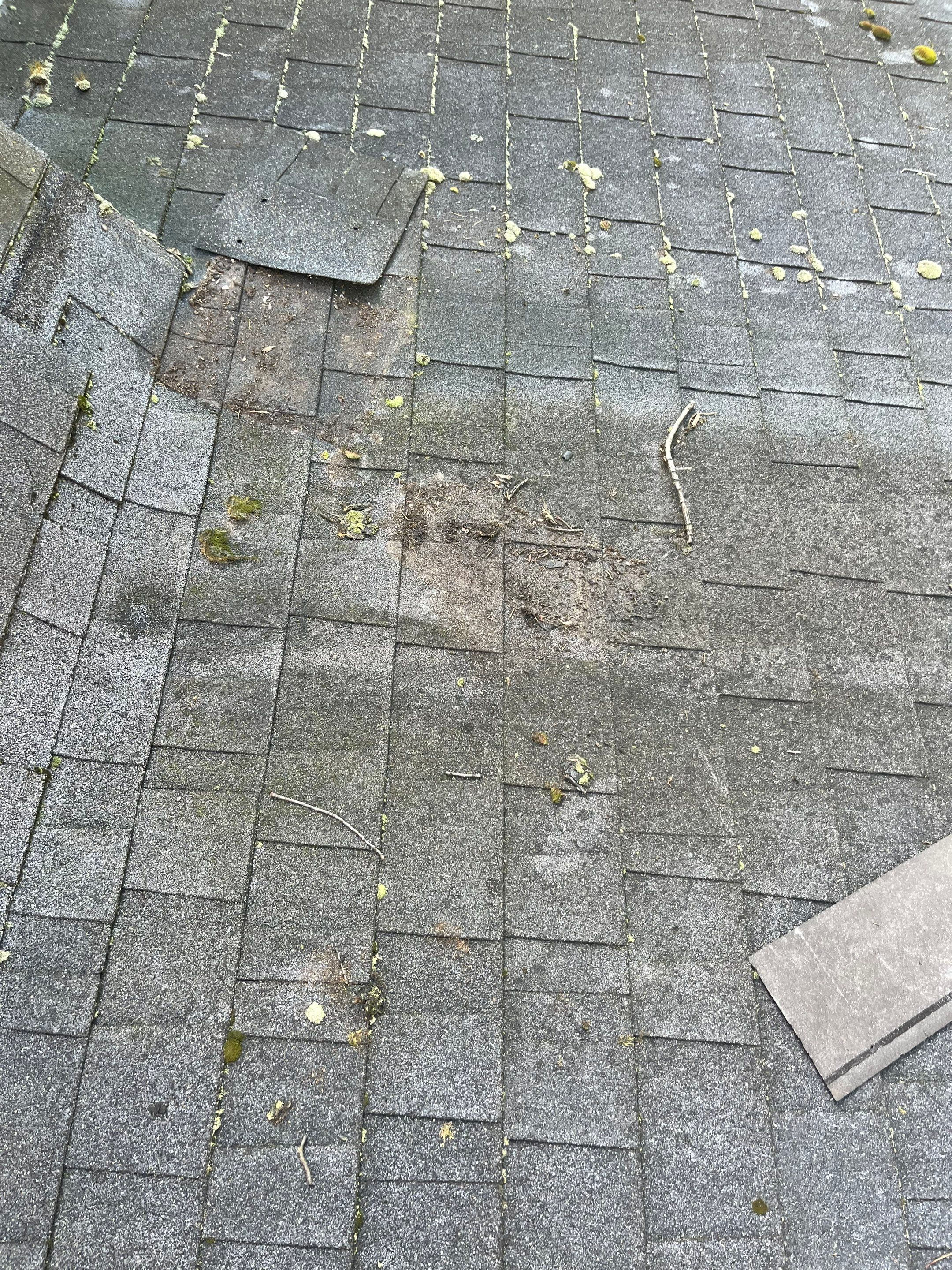 Charleston WV IKO Dynasty Roof Replacement – Premium Asphalt Shingles & Expert Installation by Mr. Roofer