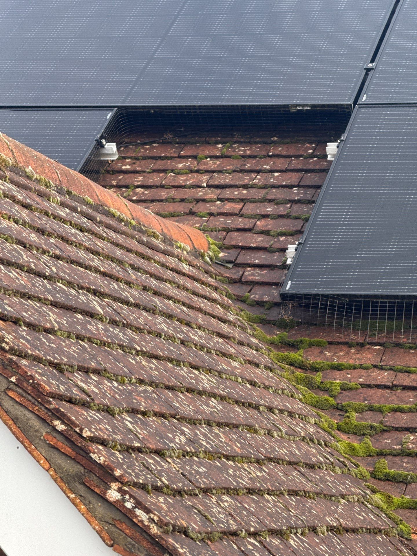 Roof Cleaning by Ges Exterior Cleaning ltd