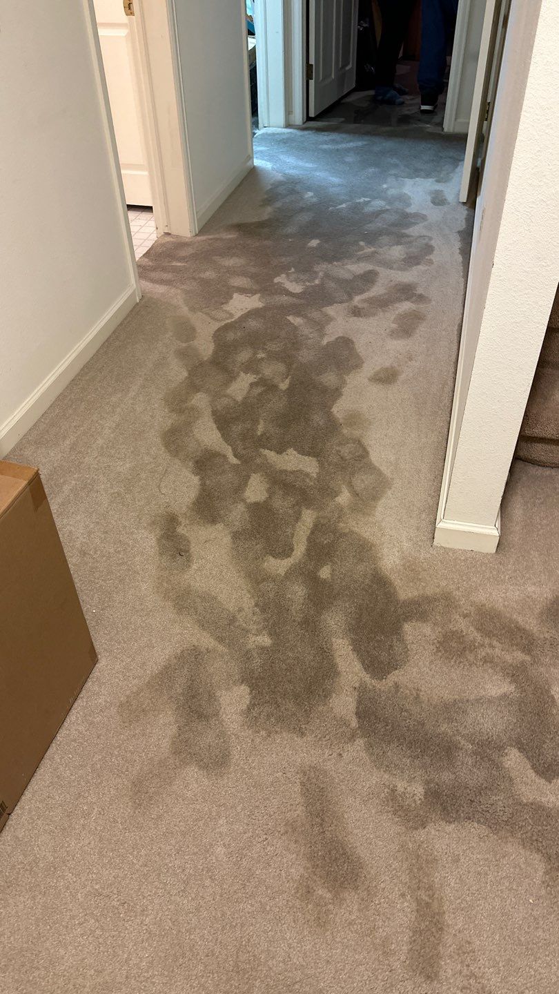 Water Damage by Accountable Home Services