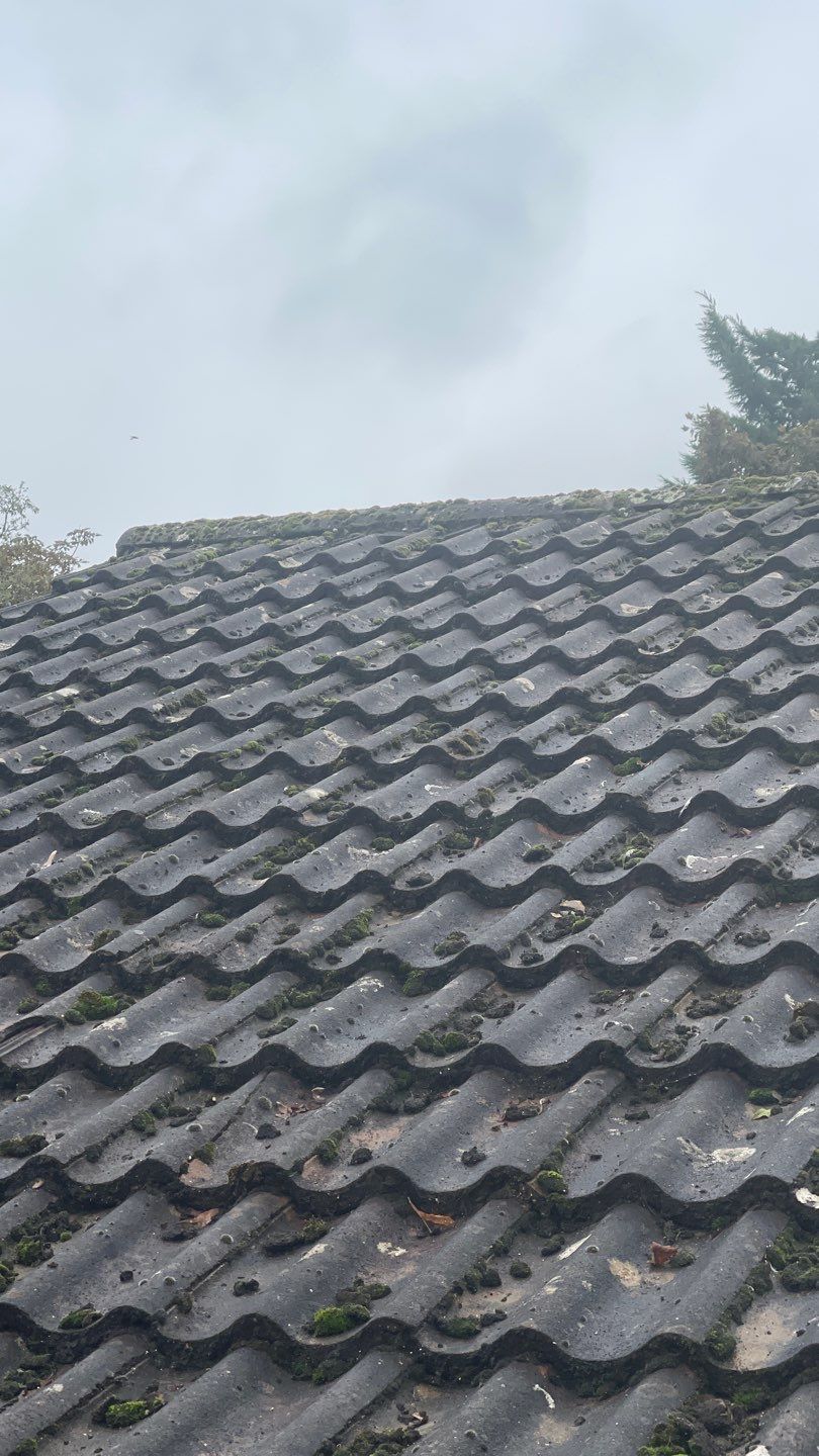 Roof Clean and Biocide Treatment using Honda 15lpm Low Pressure Washing Machine by Ges Exterior Cleaning ltd