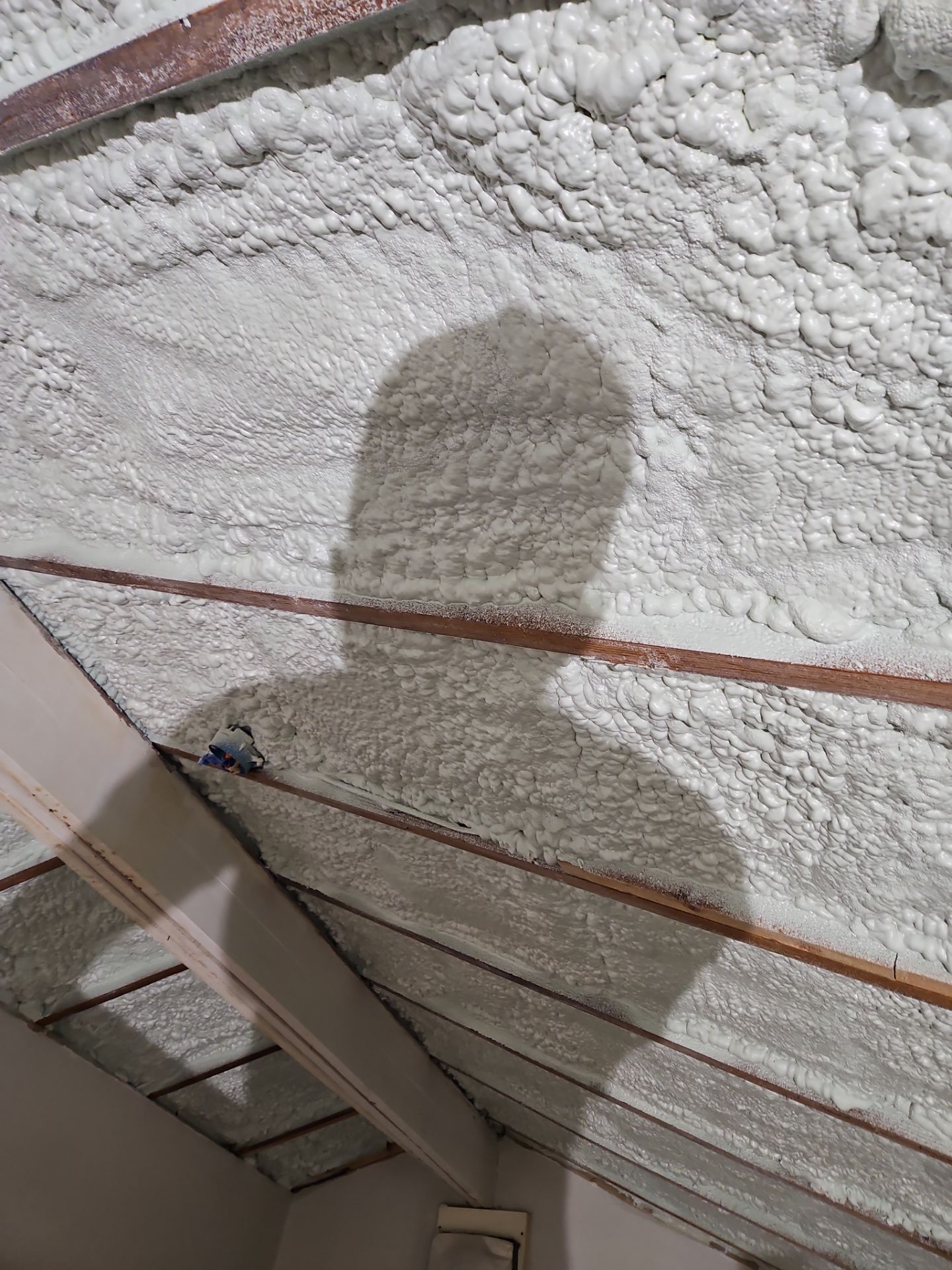 Project in Vienna, VA by Founders Insulation