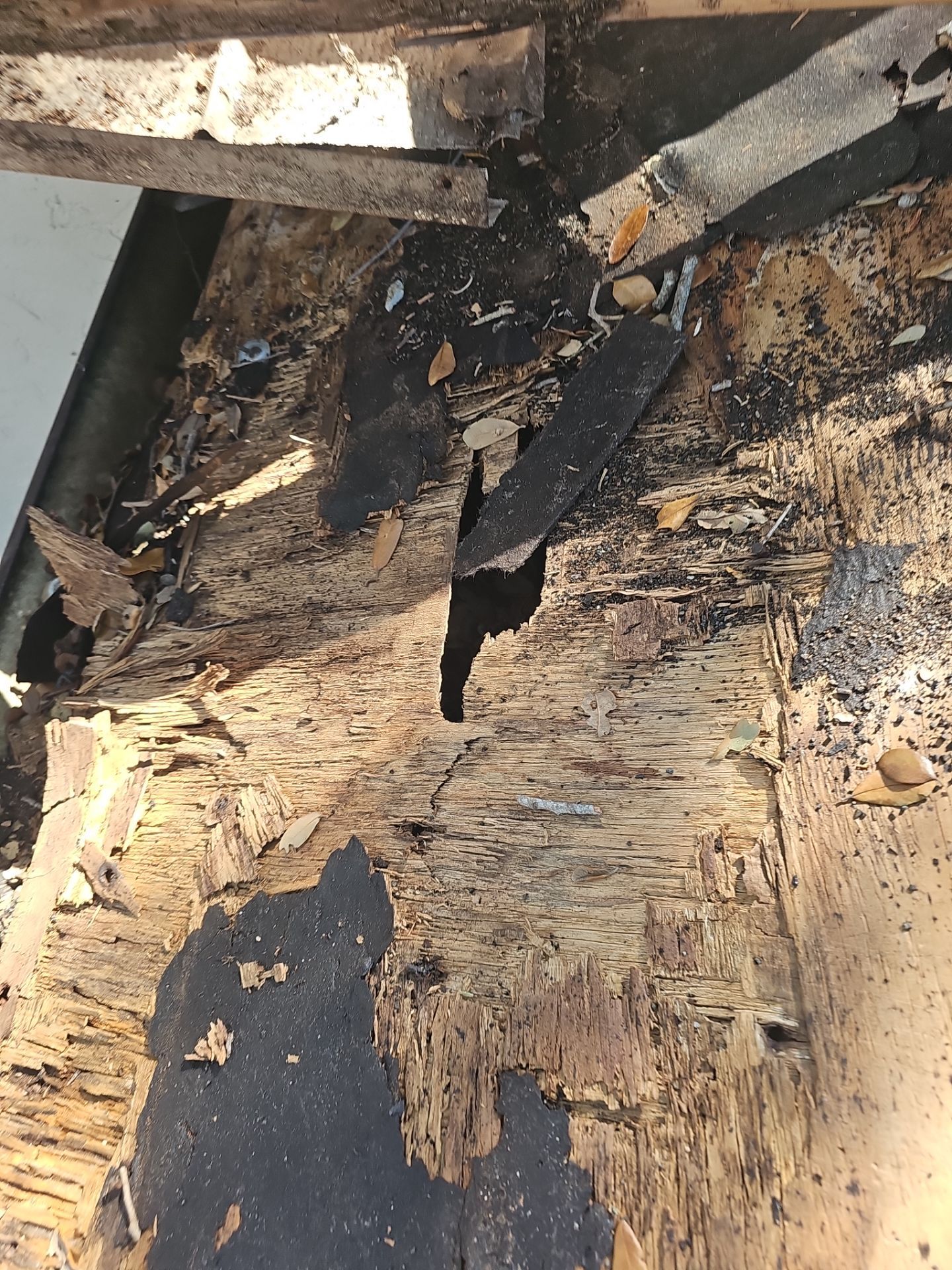Project in Dunedin 34698 by Mitchell Roofing Company LLC